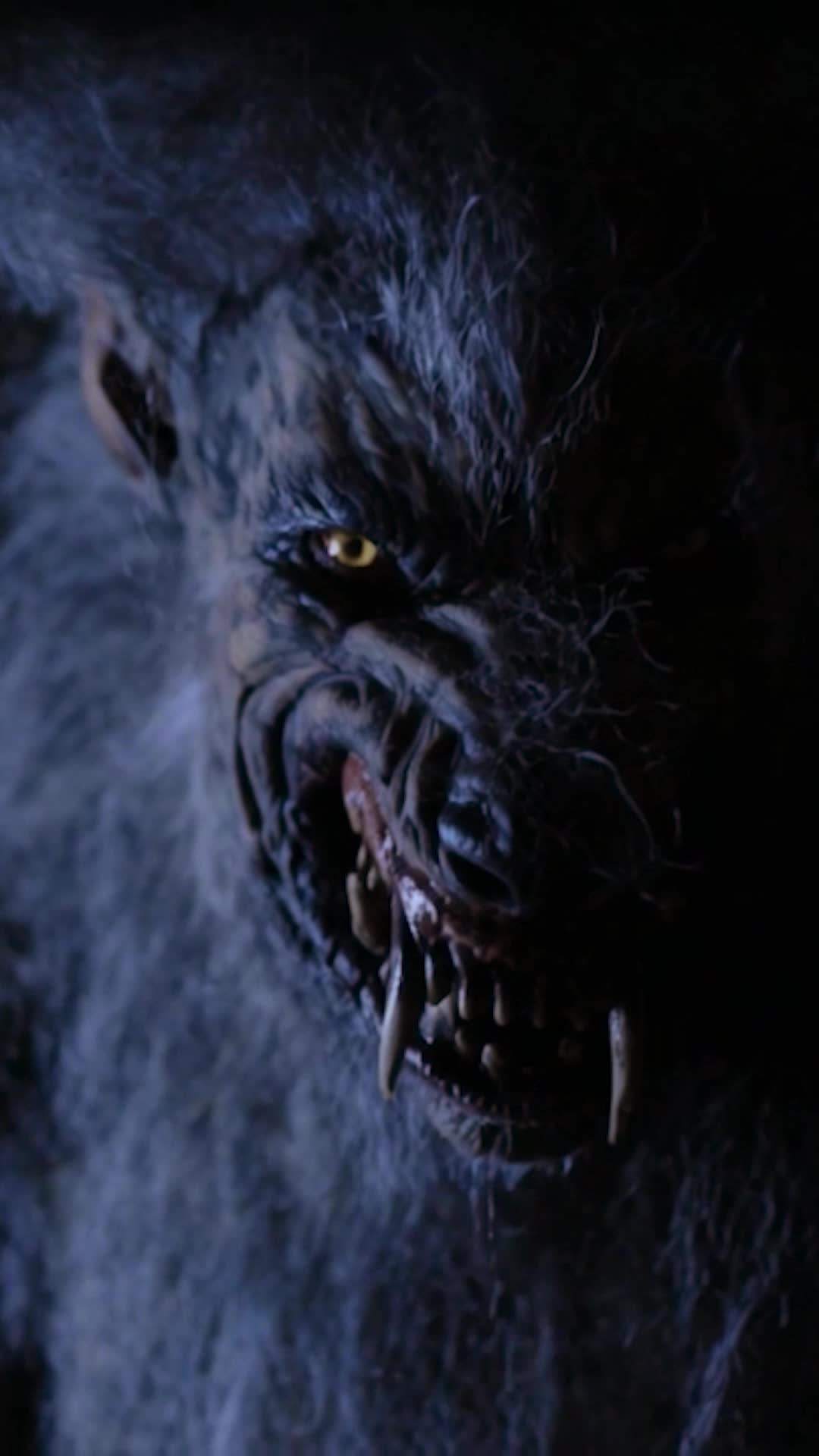 Episode 23 - Models vs. Werewolves