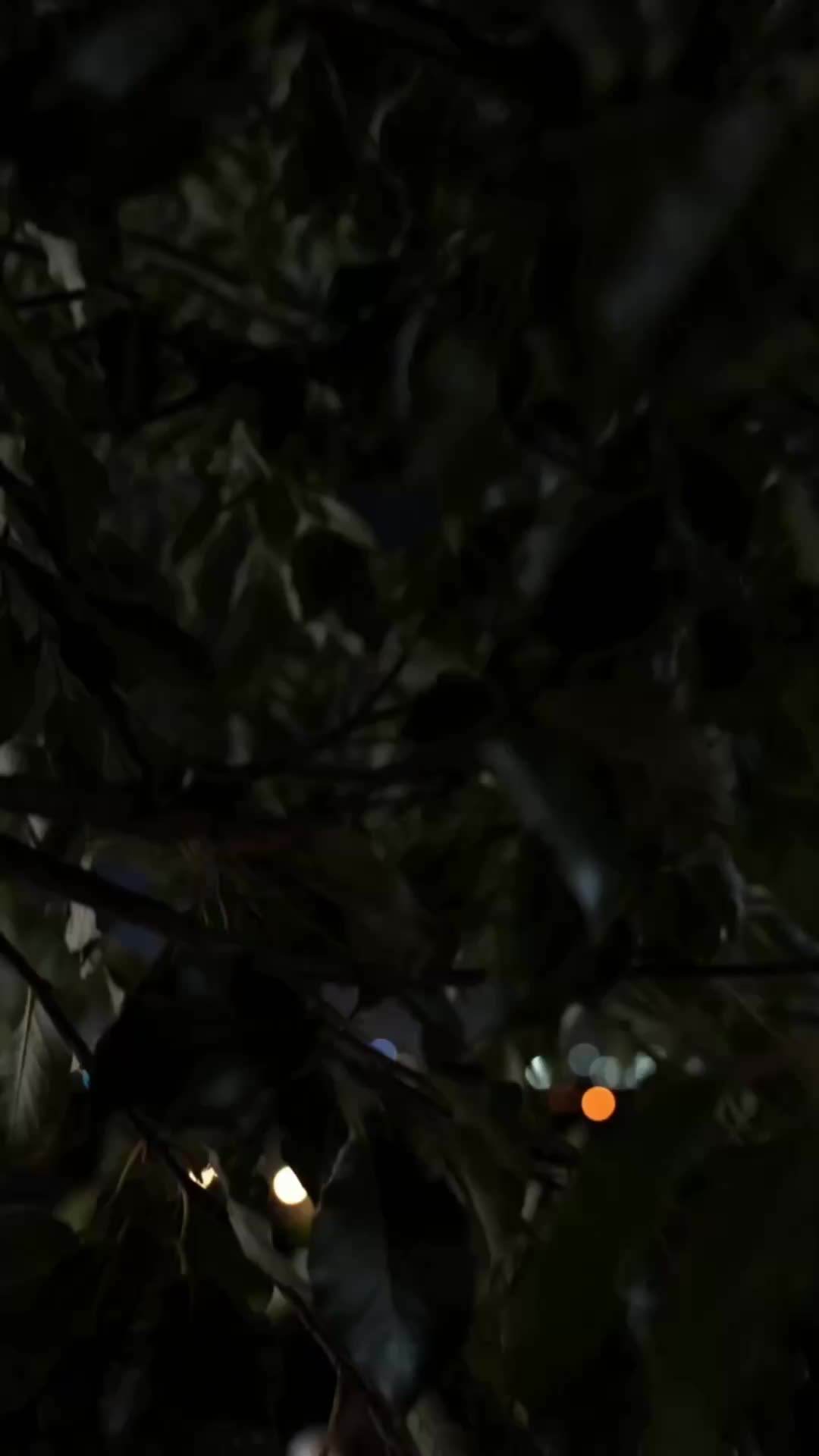 第2集 - 逃離與他預見的未來