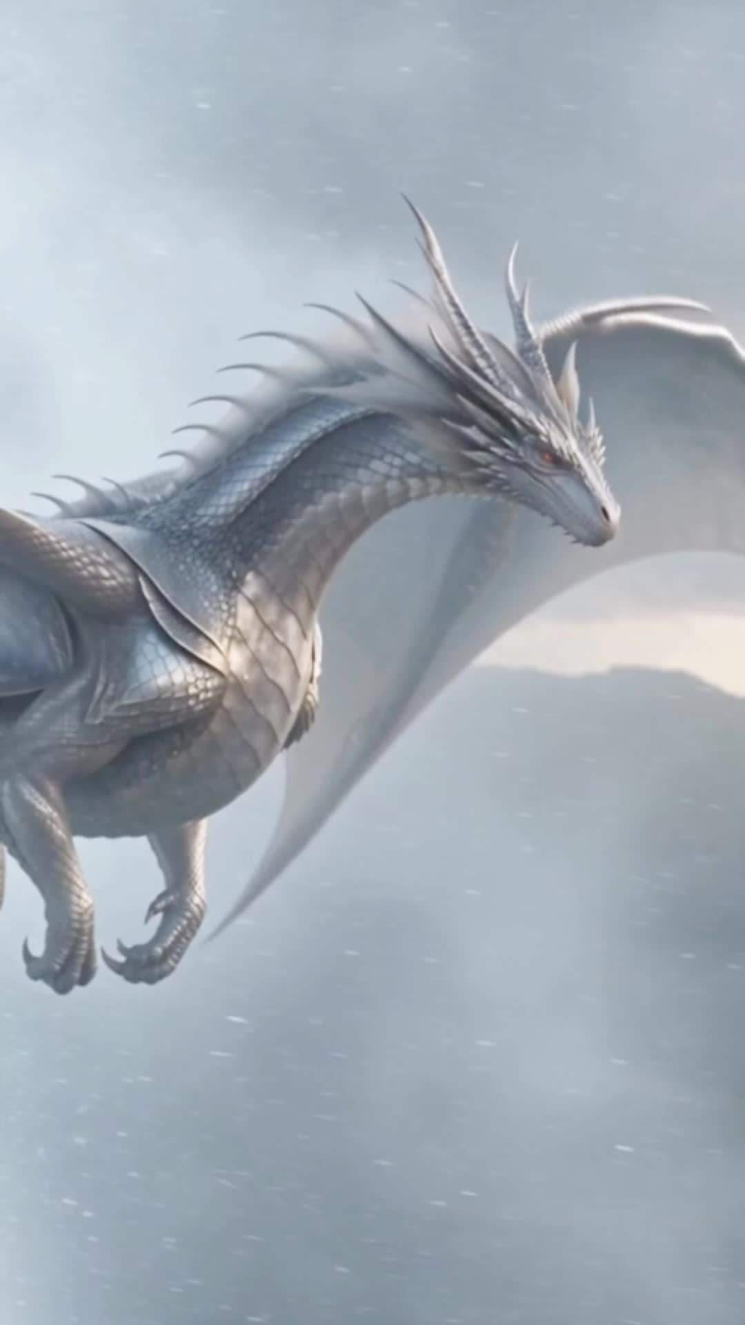 Episode 24 - The Monster I Rescued Is the Dragon King