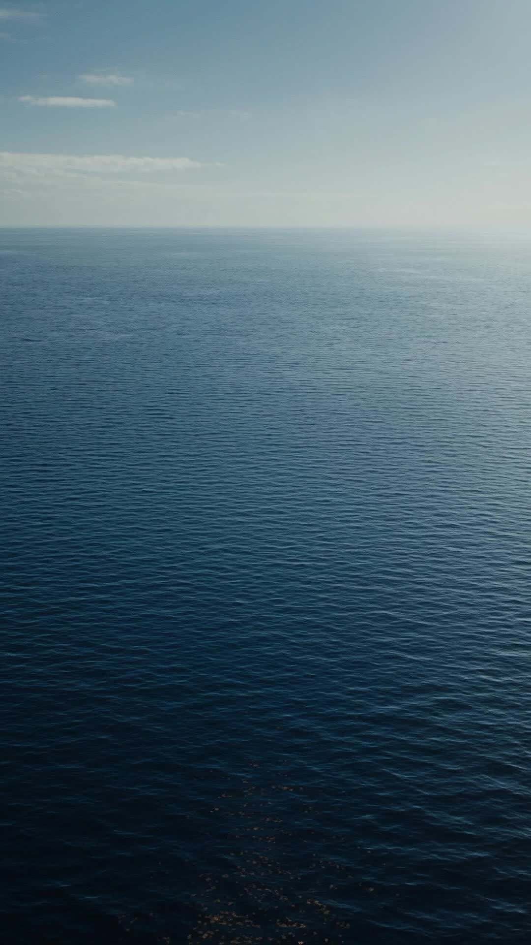 에피소드 2 - 그들이 바보라 부른 신