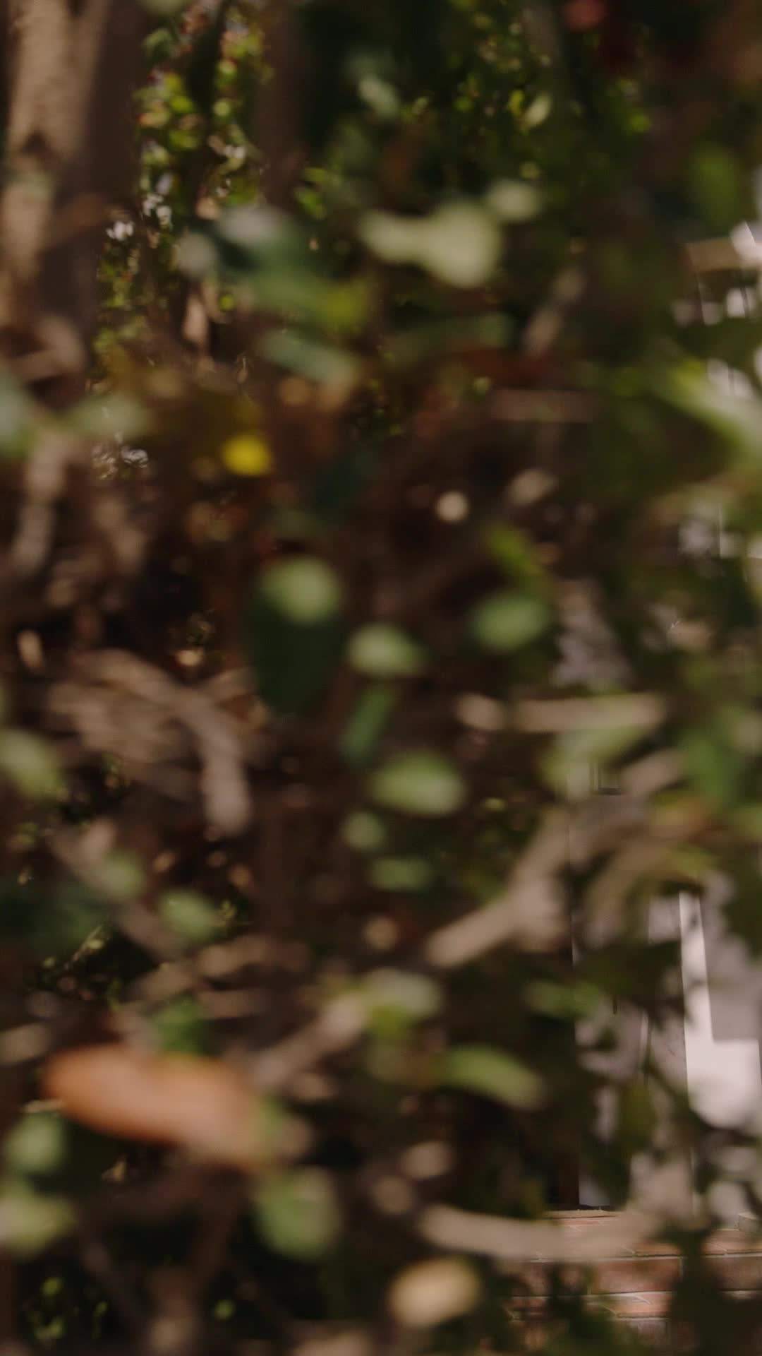 Episódio 59 - O Rei Mendigo Retorna