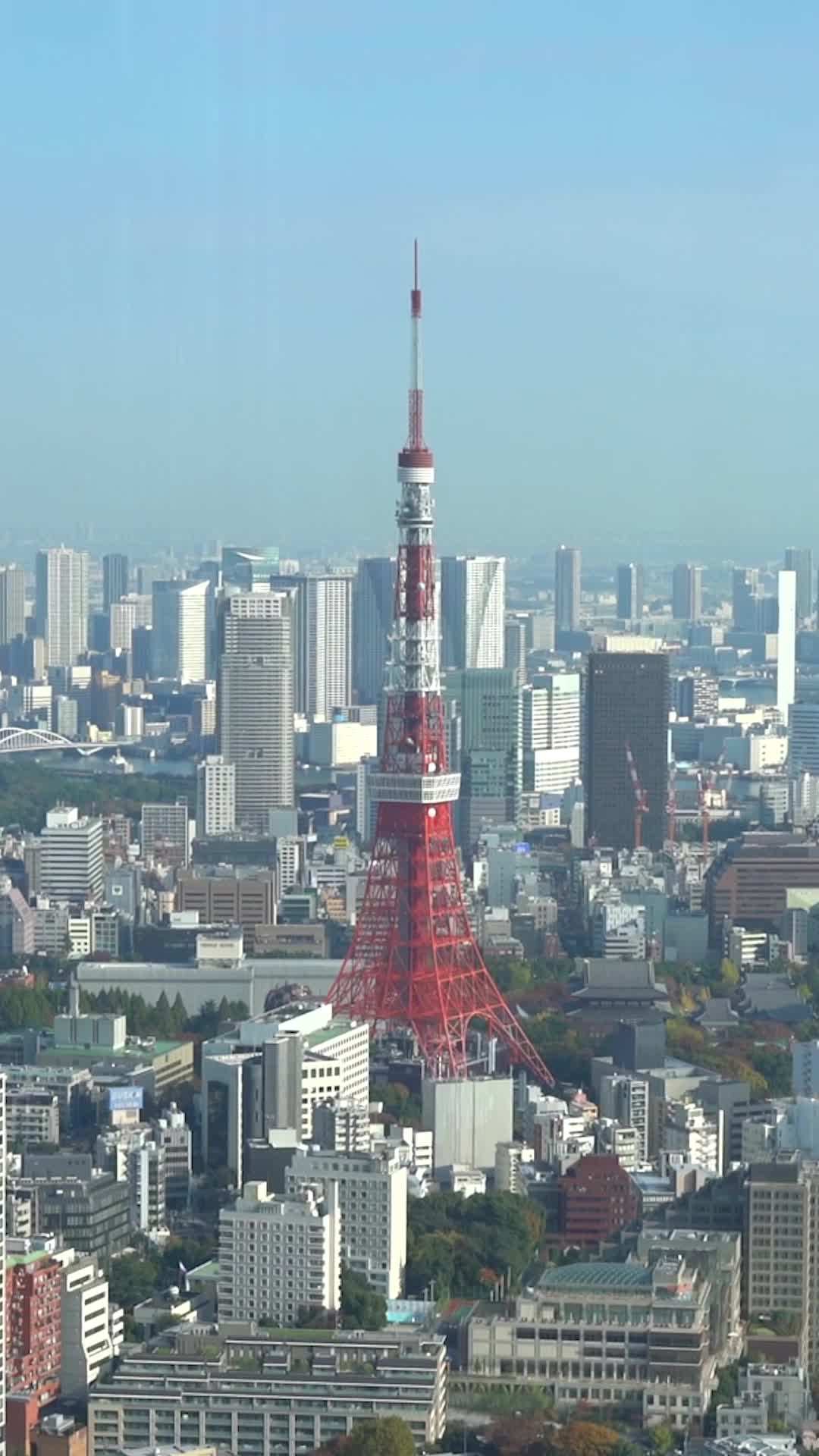エピソード5 - パパはトップスター⁉︎〜未婚シンママの秘密〜