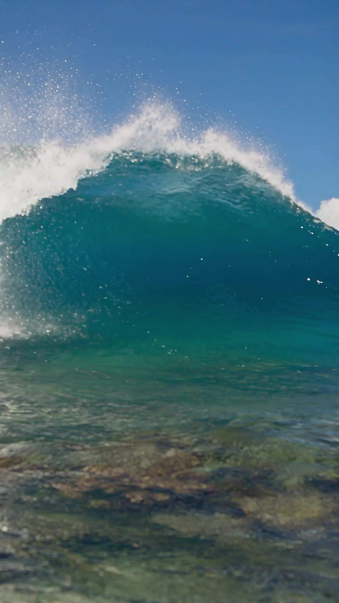 Episode 4 - Die Rache des Surfgottes