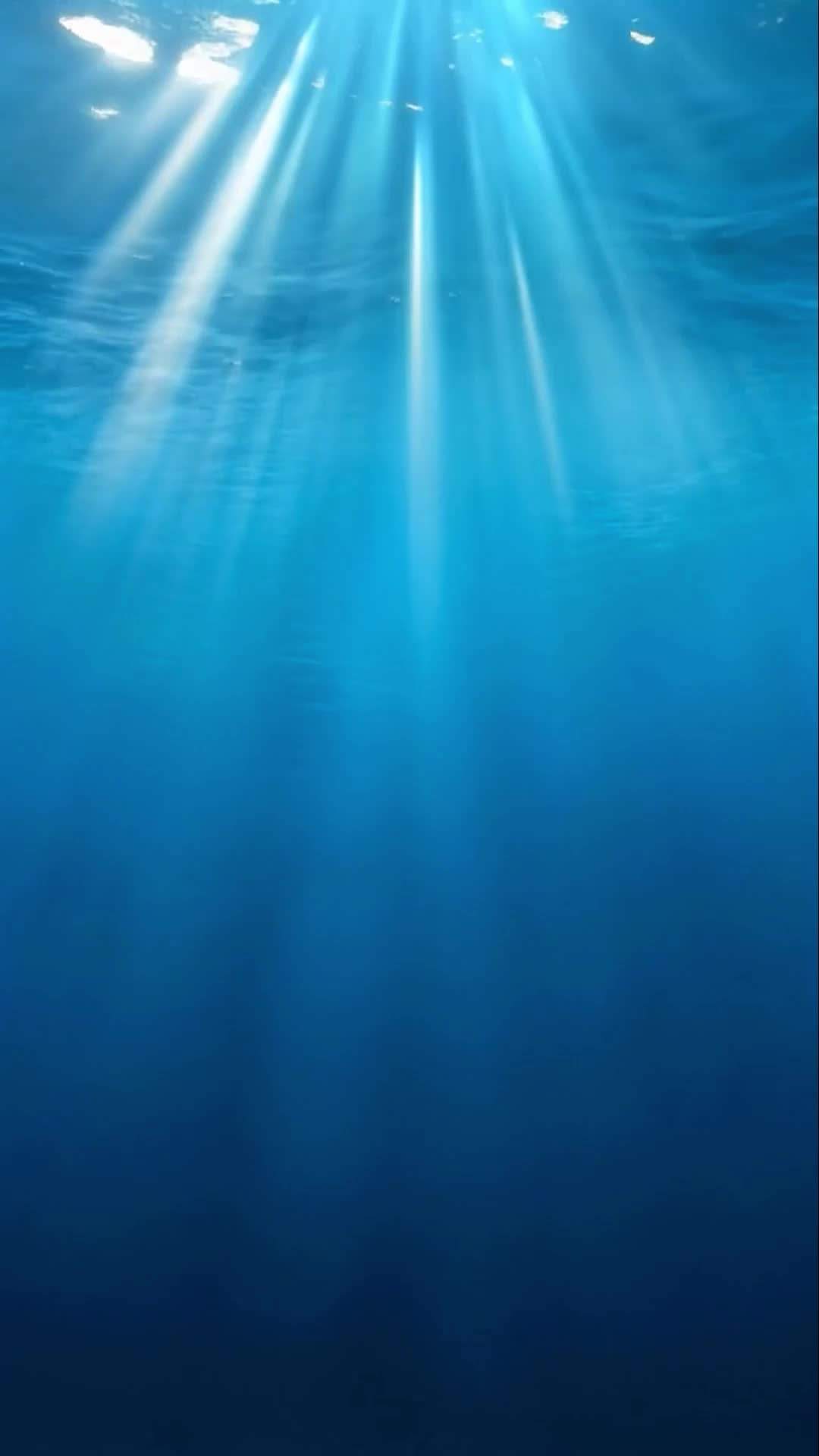 Episode 48 - Reborn as a Fish, I Fought Back