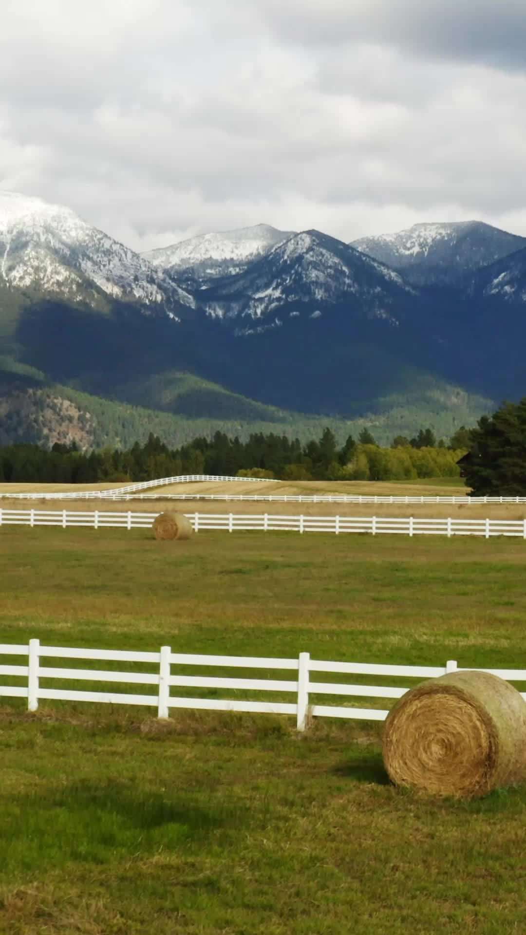 Episode 1 - Yellowstone: König von Montana