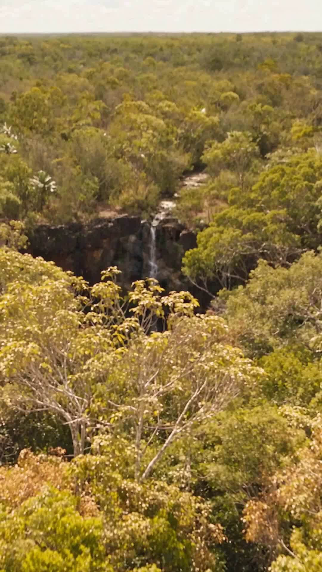 Episode 26 - Desert Island Throne: Four Goddesses Fall for Me | ReelShort