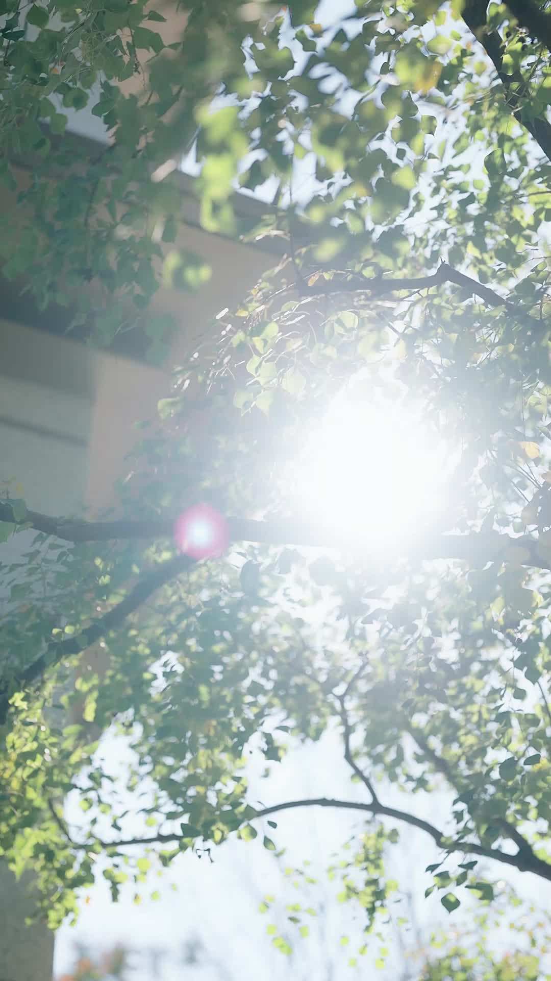 ตอน5-ภาพยนตร์ อย่ามายุ่งกับฉัน รู้ไหมใครหนุนหลัง เต็มเรื่อง