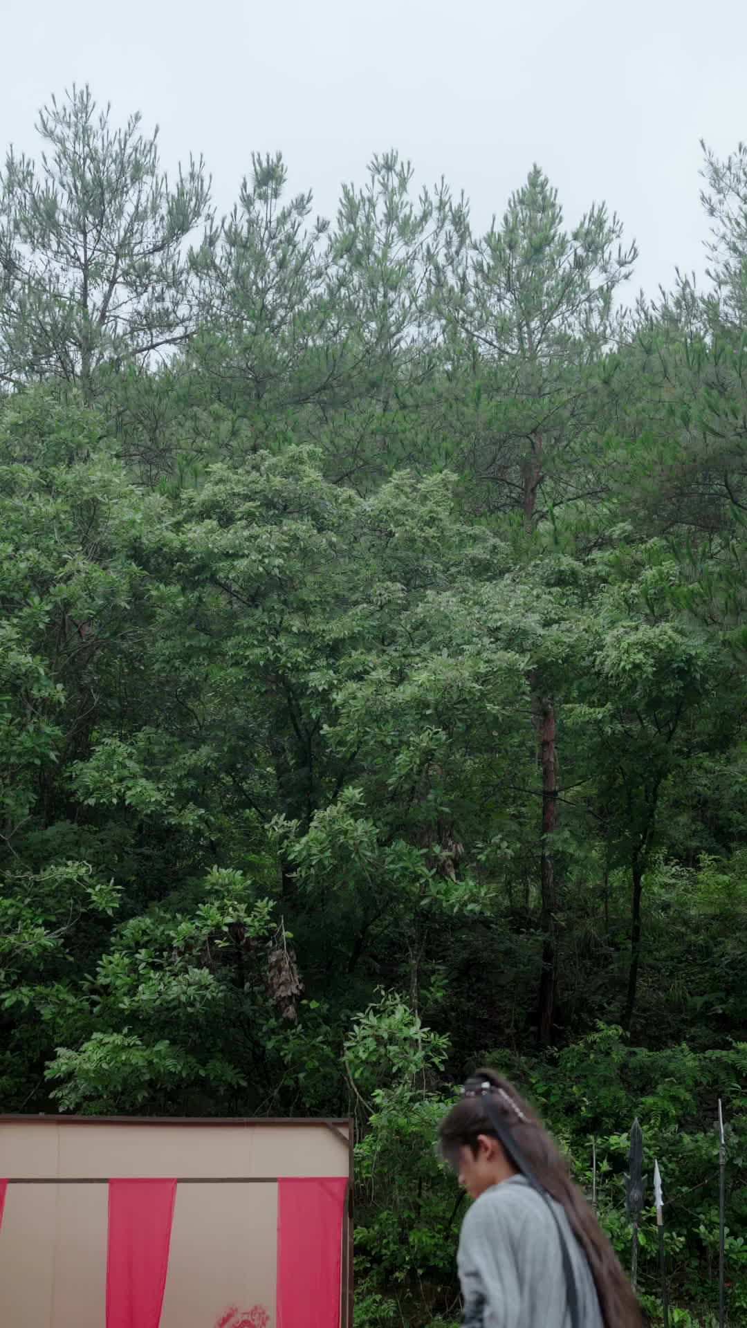 第21集 - 此劍,斬天命