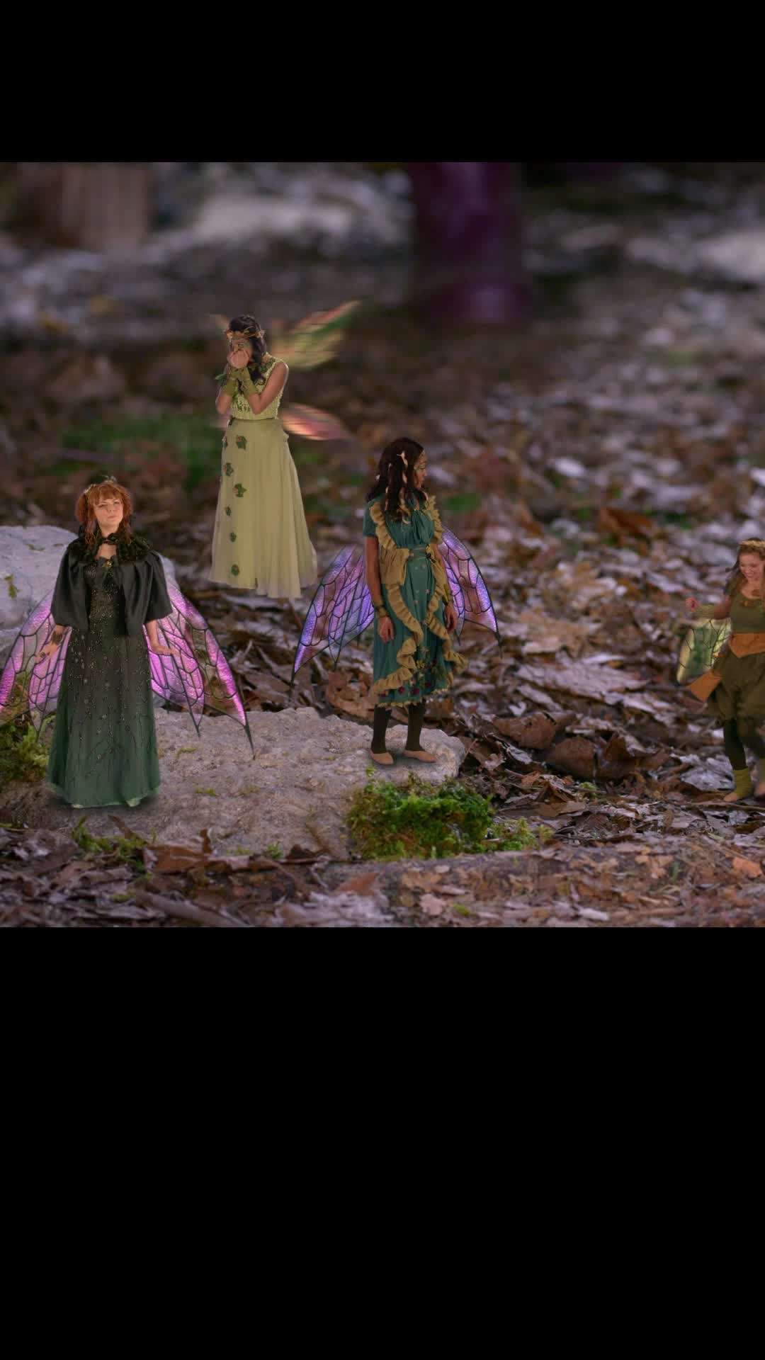 Episode 29 - Forest Fairies