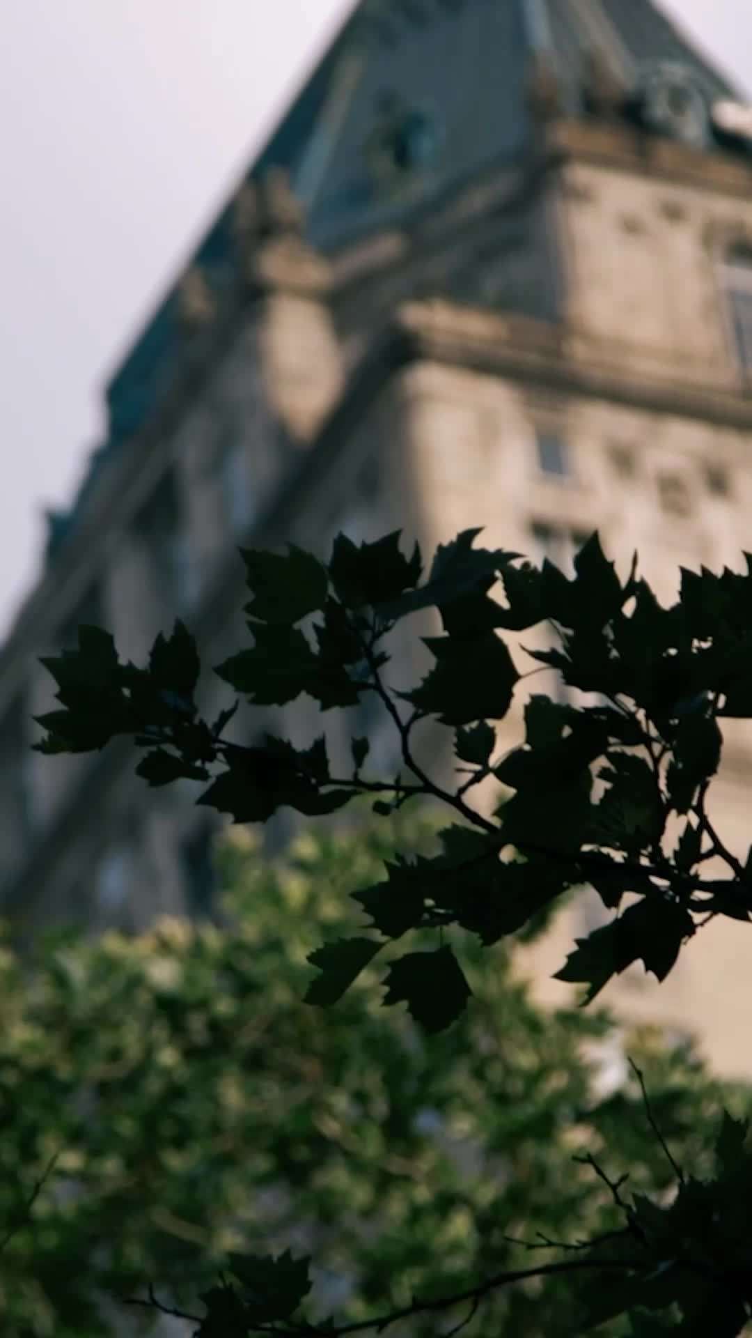 第20集 - 億萬總裁的純情代孕妻