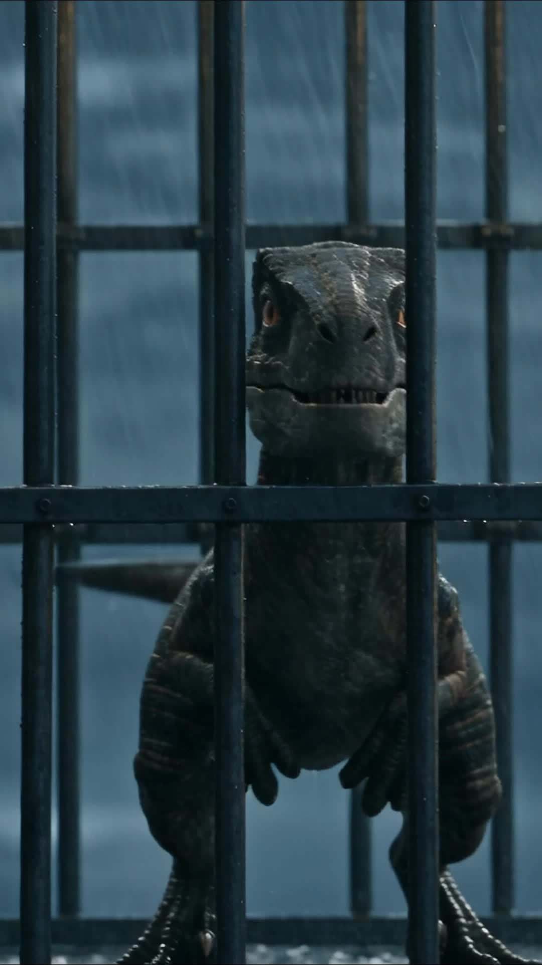 Episode 55 - Dinosaur Era: The Last Natural