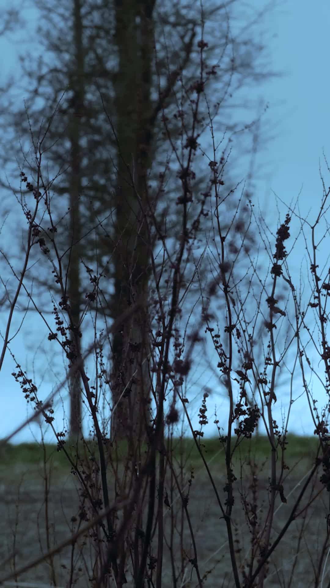 Episódio 45 - Separada Do Alfa, Mais Forte Do Que Nunca