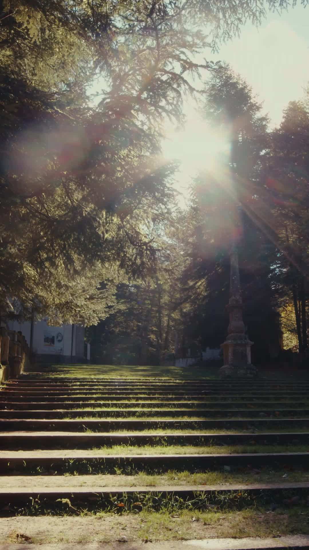 Episódio 65 - Quebre meu coração novamente