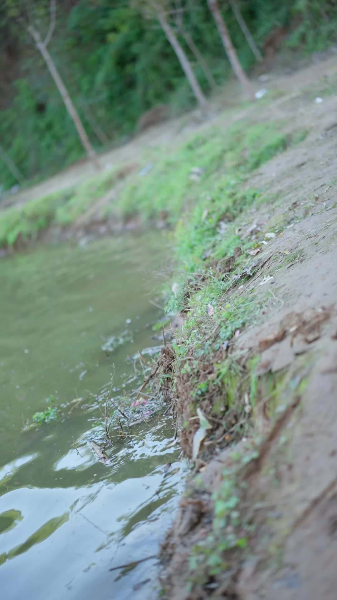 エピソード31 - 魚に転生して釣り人を泣かす