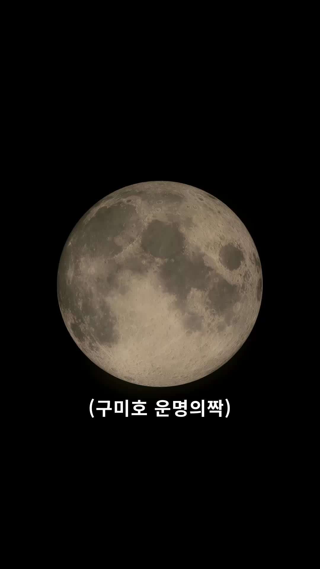 에피소드 1 - 구미호 운명의짝