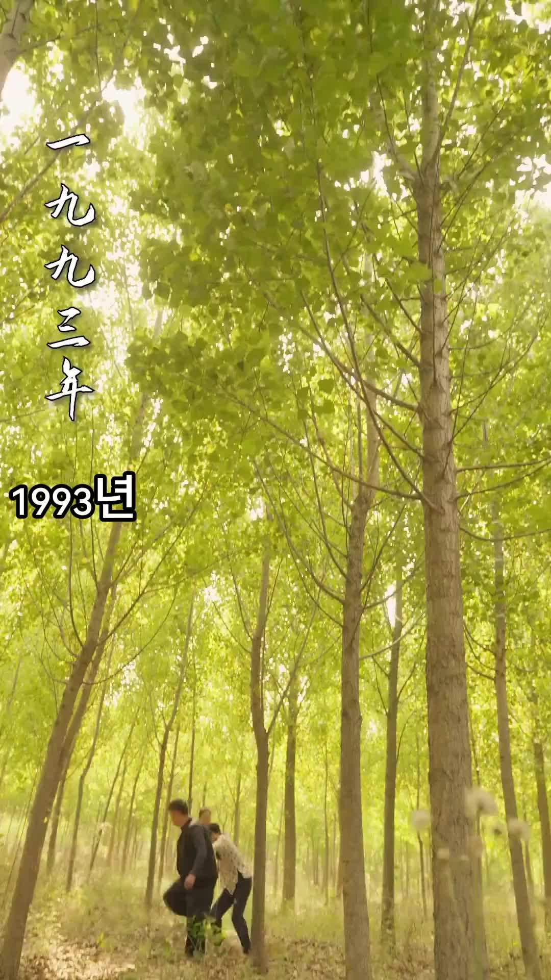 에피소드 1 - 폴링 인 러브 1993