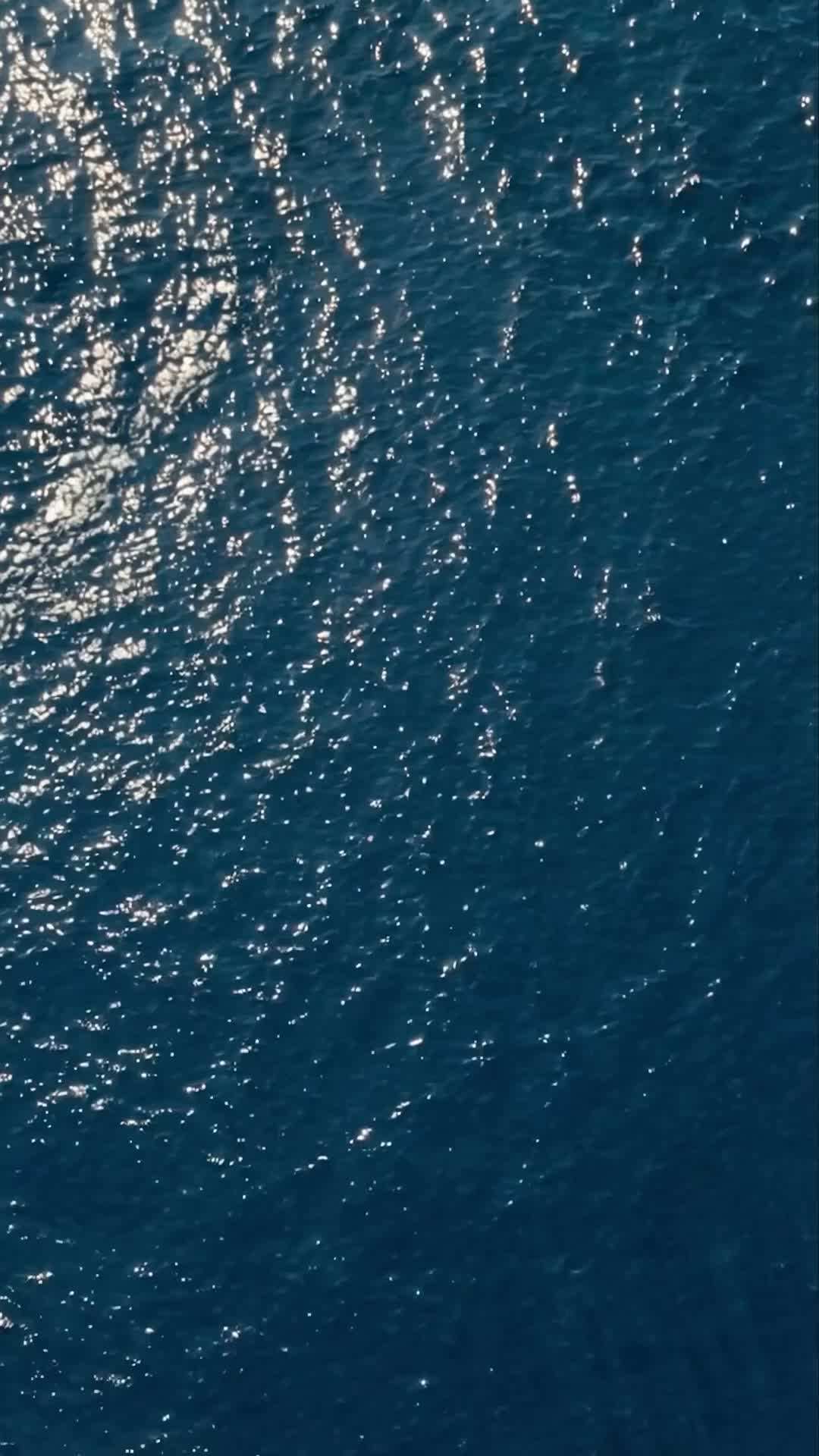 Episode 62 - Reborn as a Fish, I Fought Back
