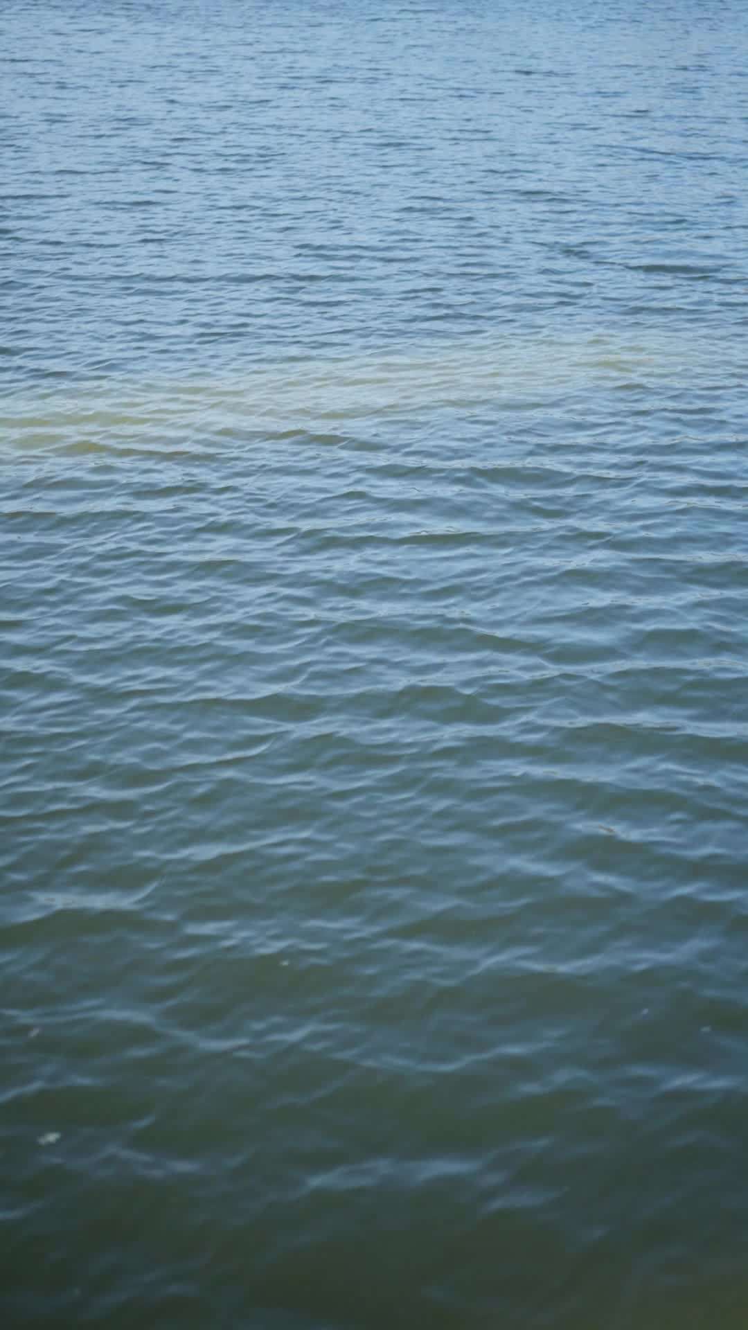 エピソード68 - 魚に転生して釣り人を泣かす