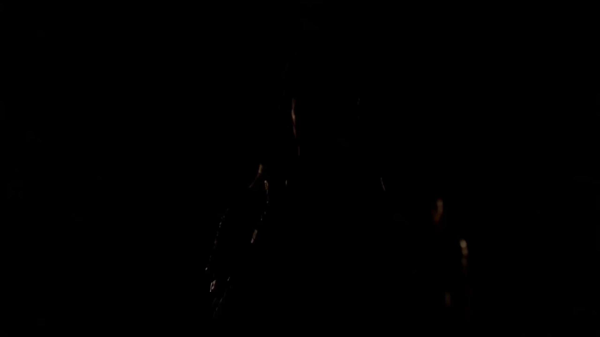 第37集 - 日薪一萬，我在博物館值夜班