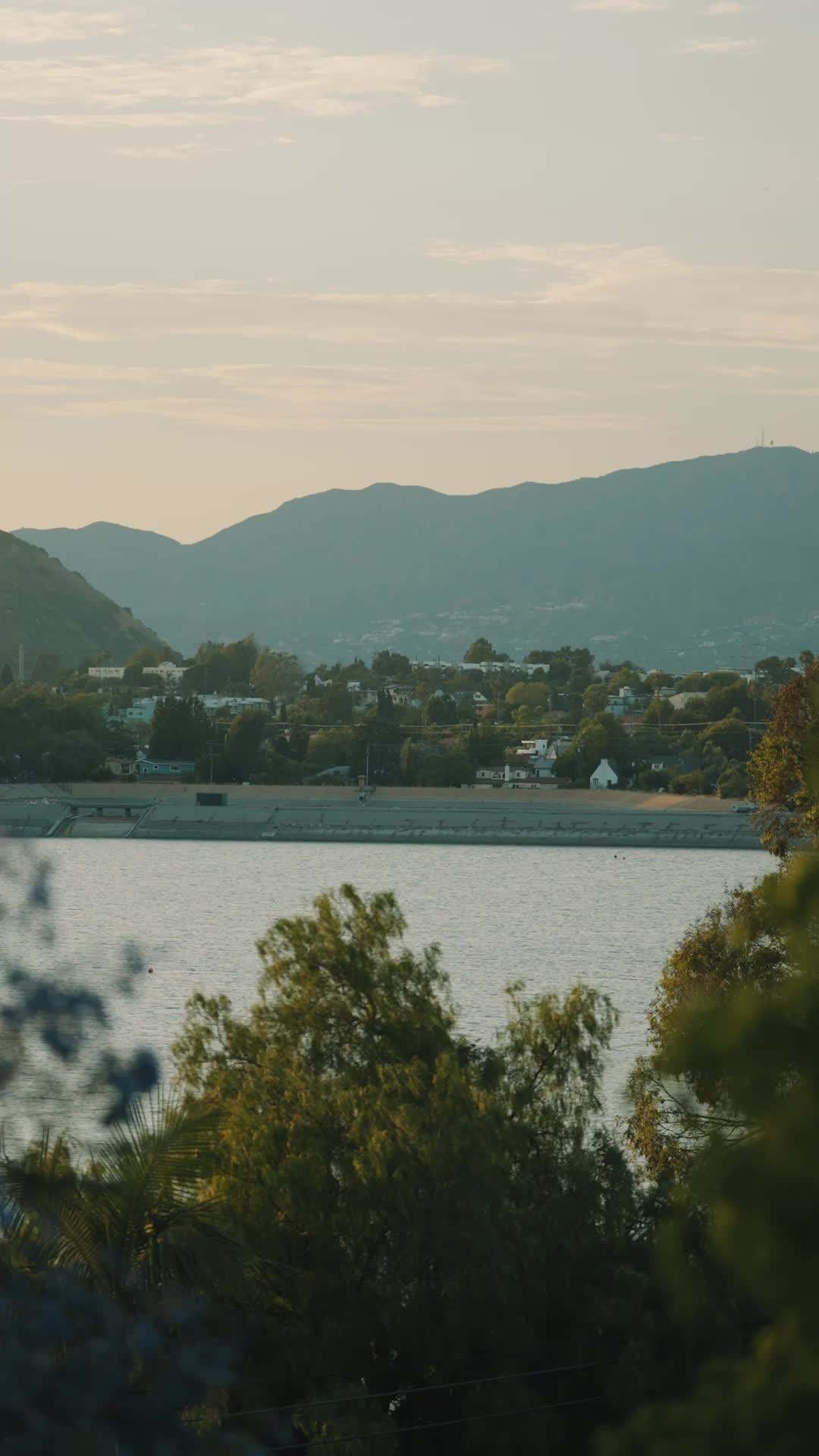 Episódio 21 - Meu chefe da máfia revestido de açúcar