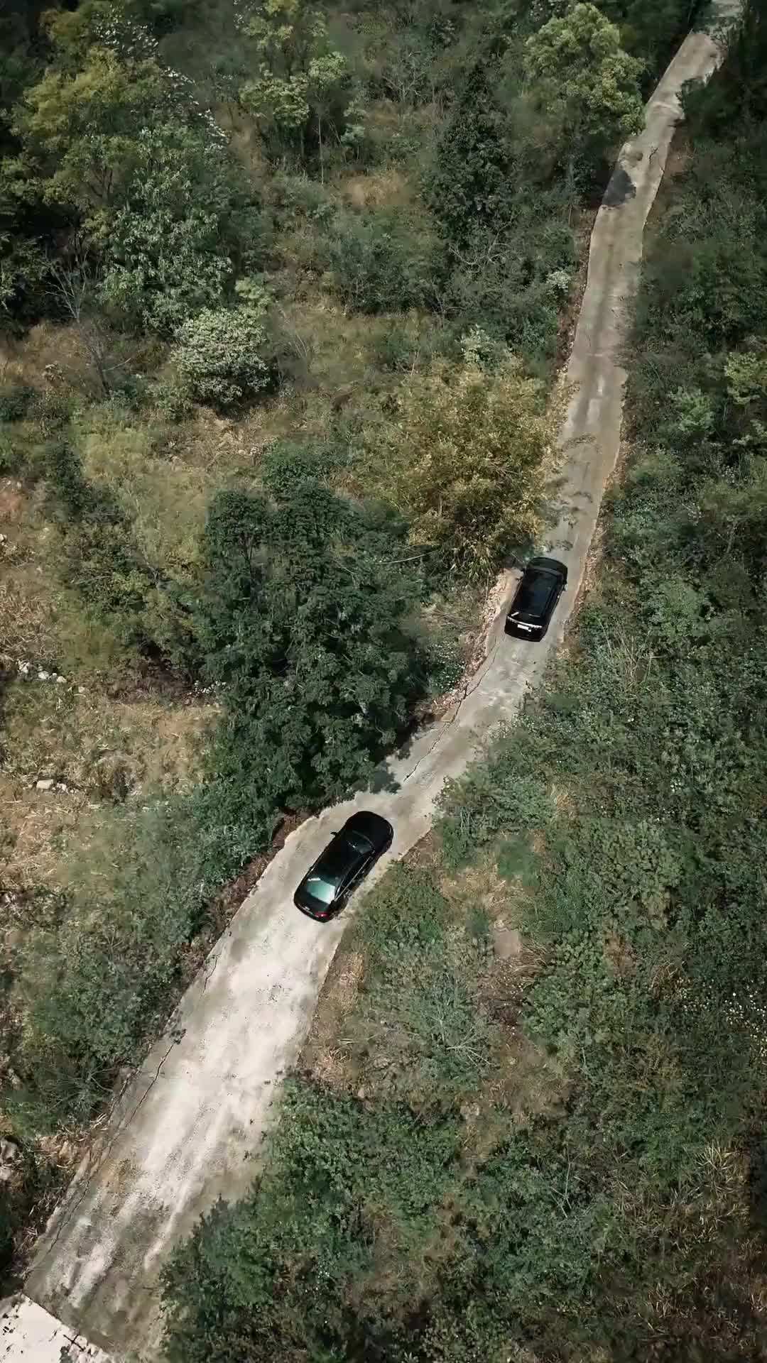 Episode 1 - Der ewige Beschützer und seine zerbrechliche Verlobte