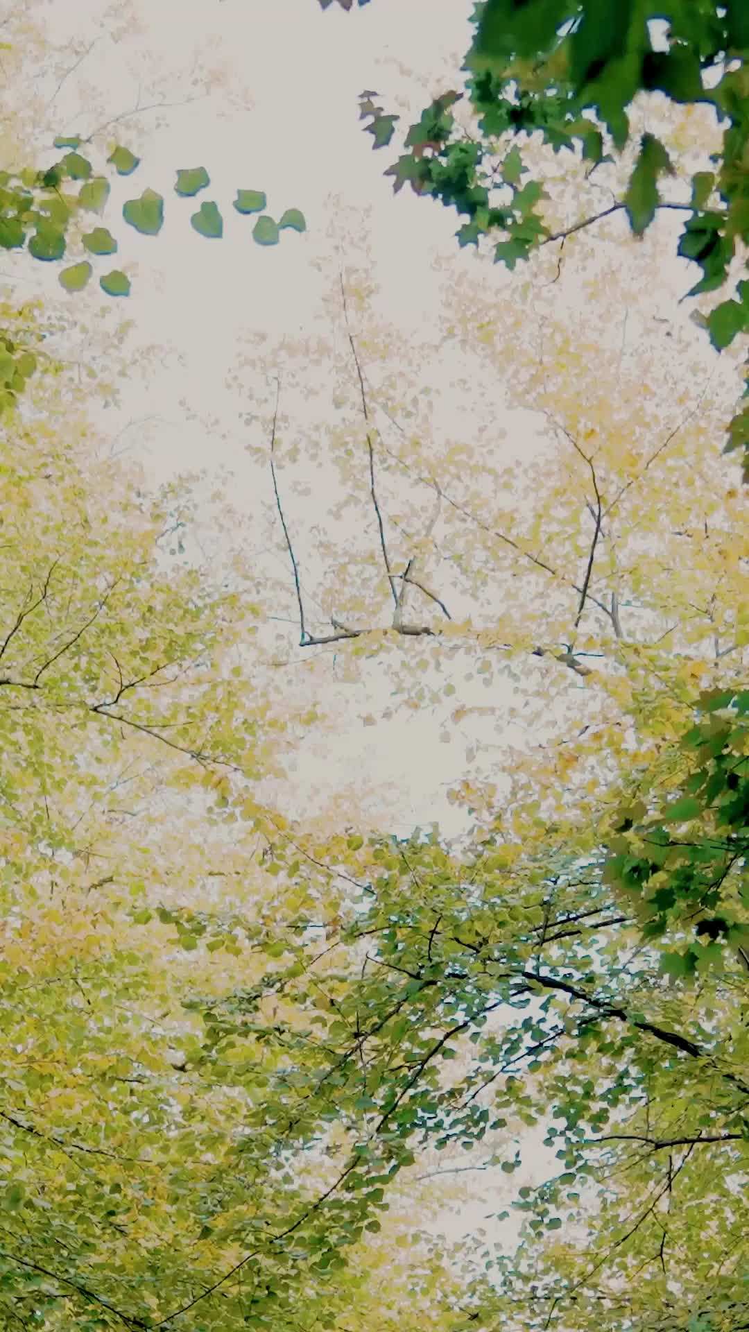 에피소드 38 - 마음 찢어지는 사랑