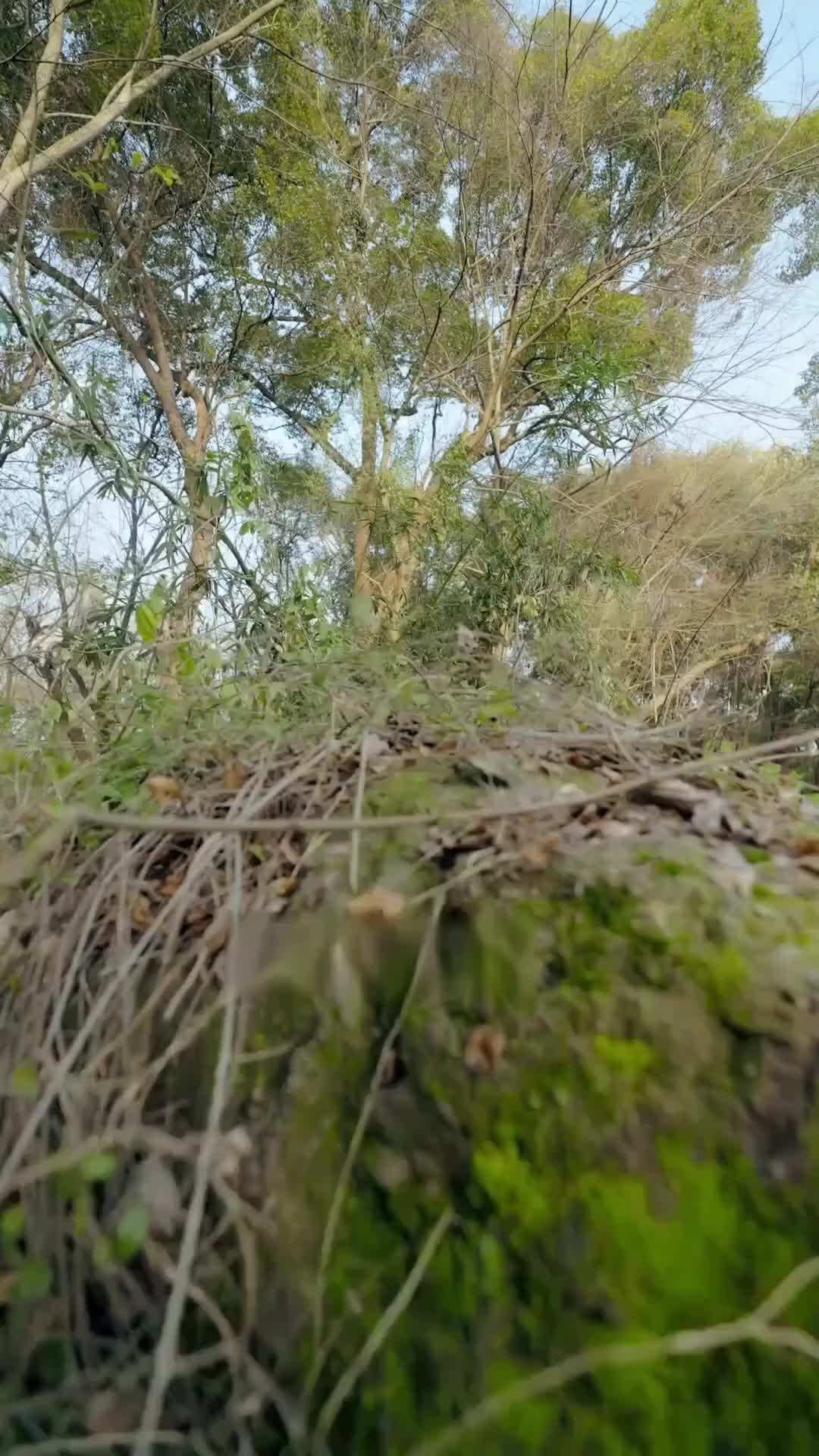 第1集 - 公主流浪記