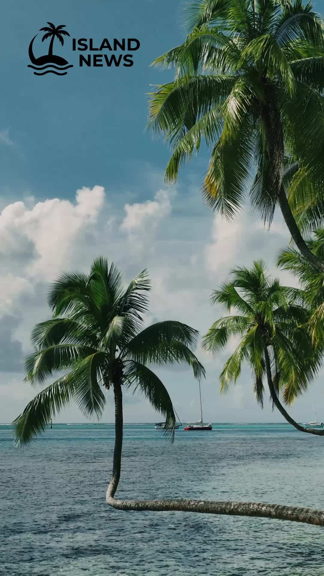 第47集 - 樂園賽局