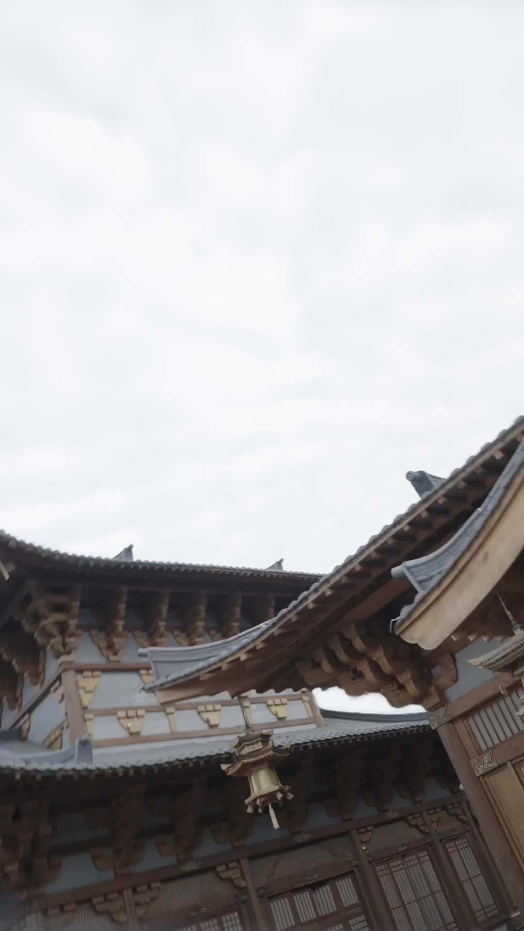Episode 133 - Eternal Dragon Emperor