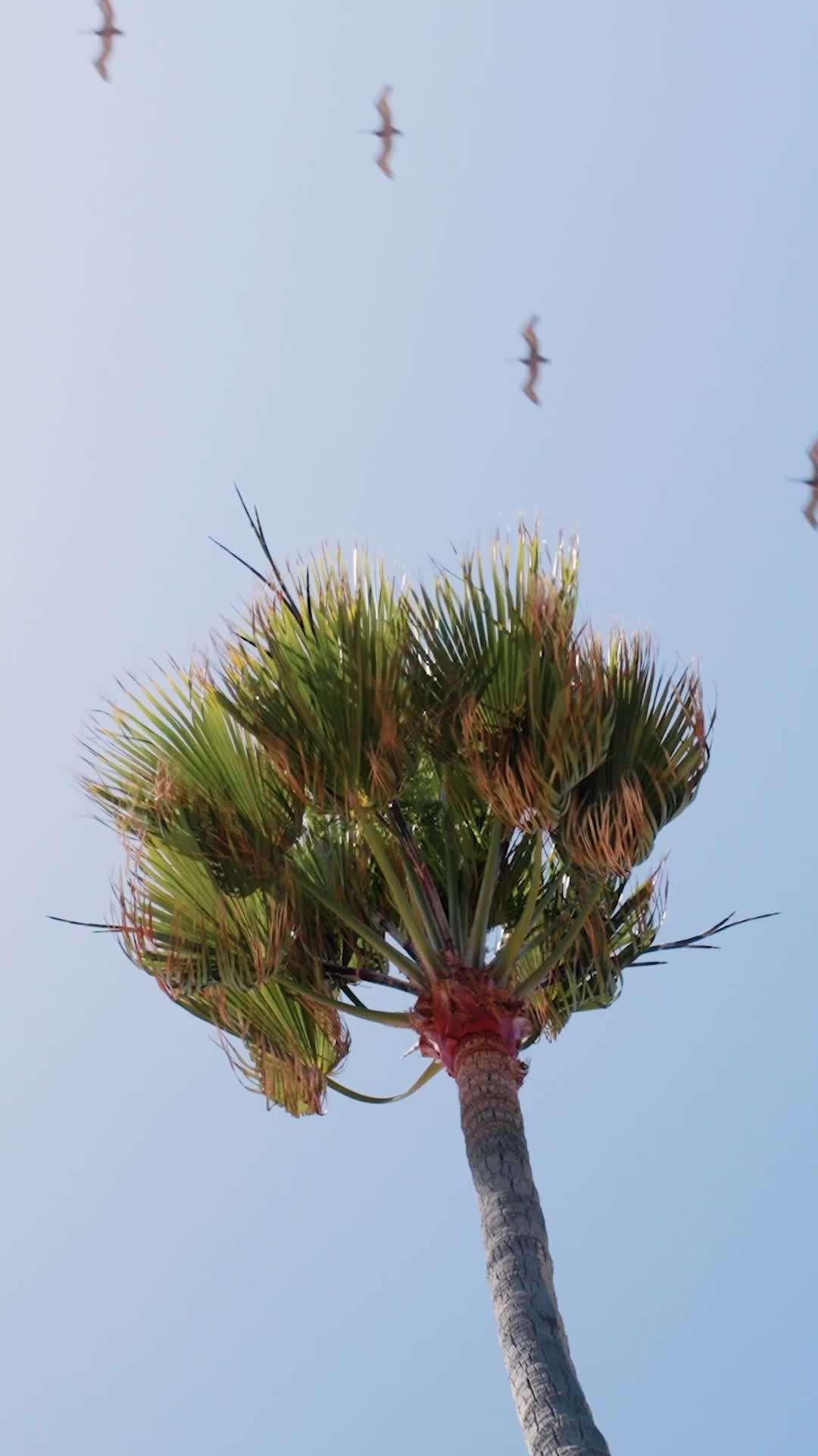 الحلقة 41 - لا شيء يخفى عن عيني الخارقة