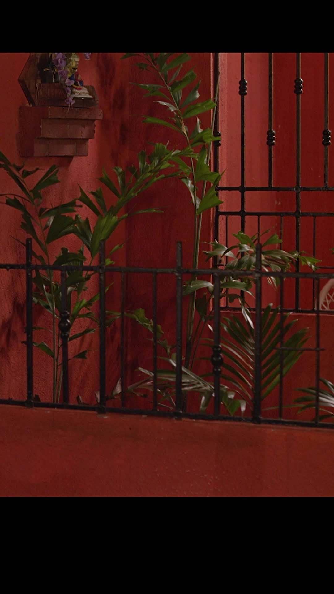 Episode 29 - Mi Angelito Favorito