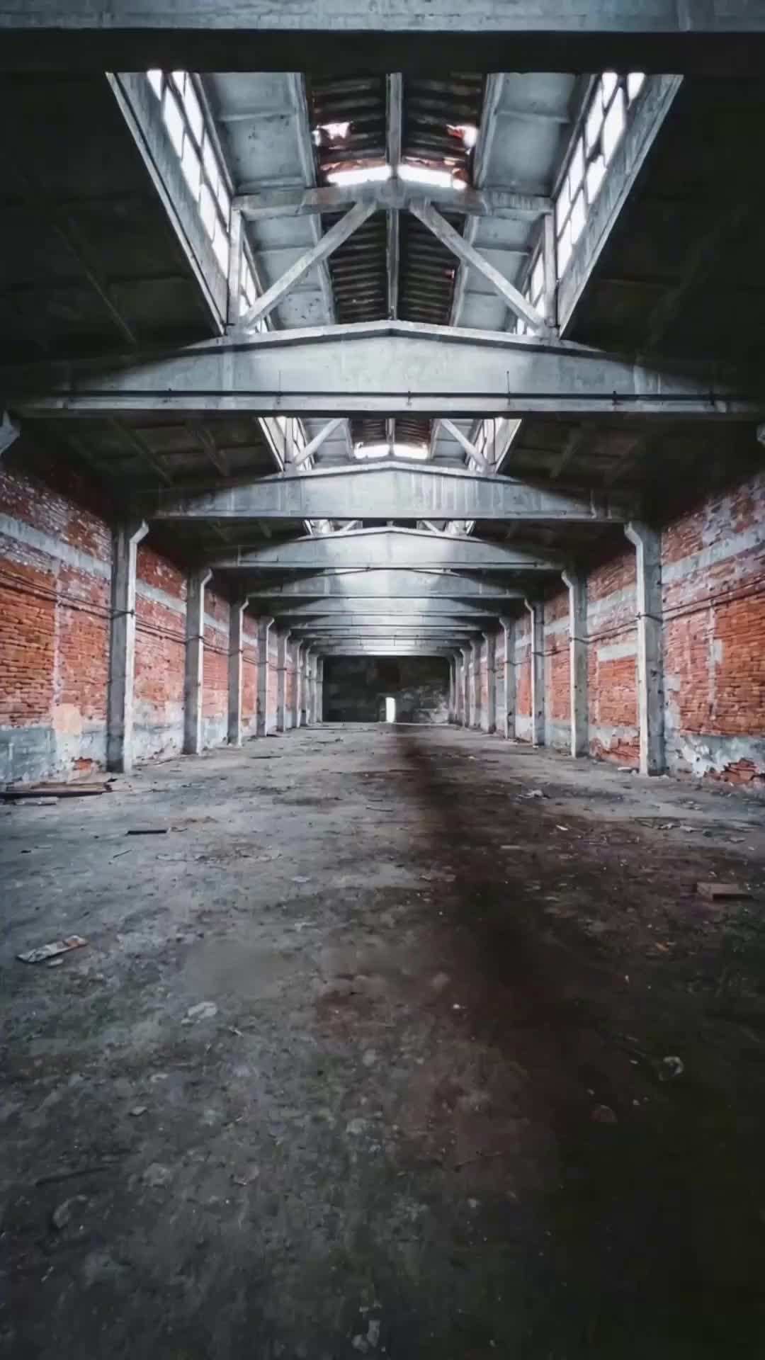 Episode 3 - The Architect of the Apocalypse