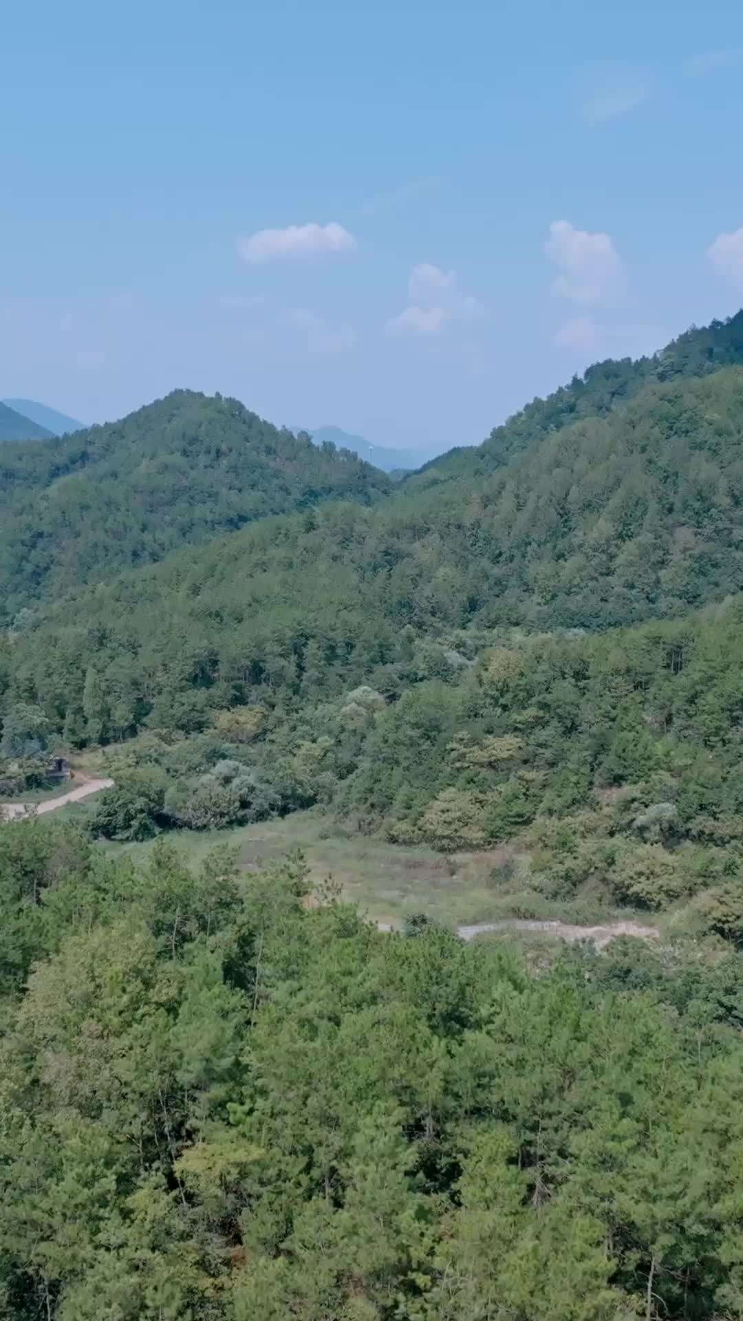 Episode 49 - She Ruled the Wilderness
