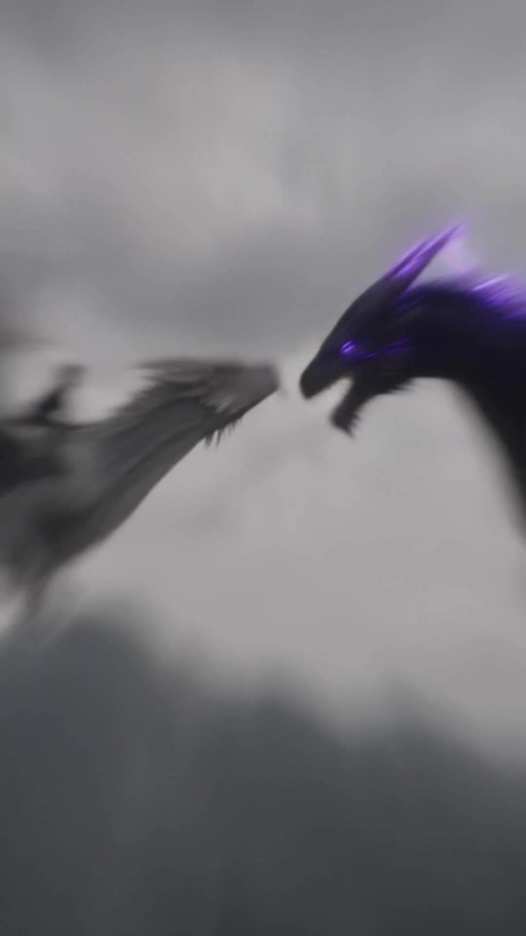 Episode 24 - The Last Dragon King‘s Bonded