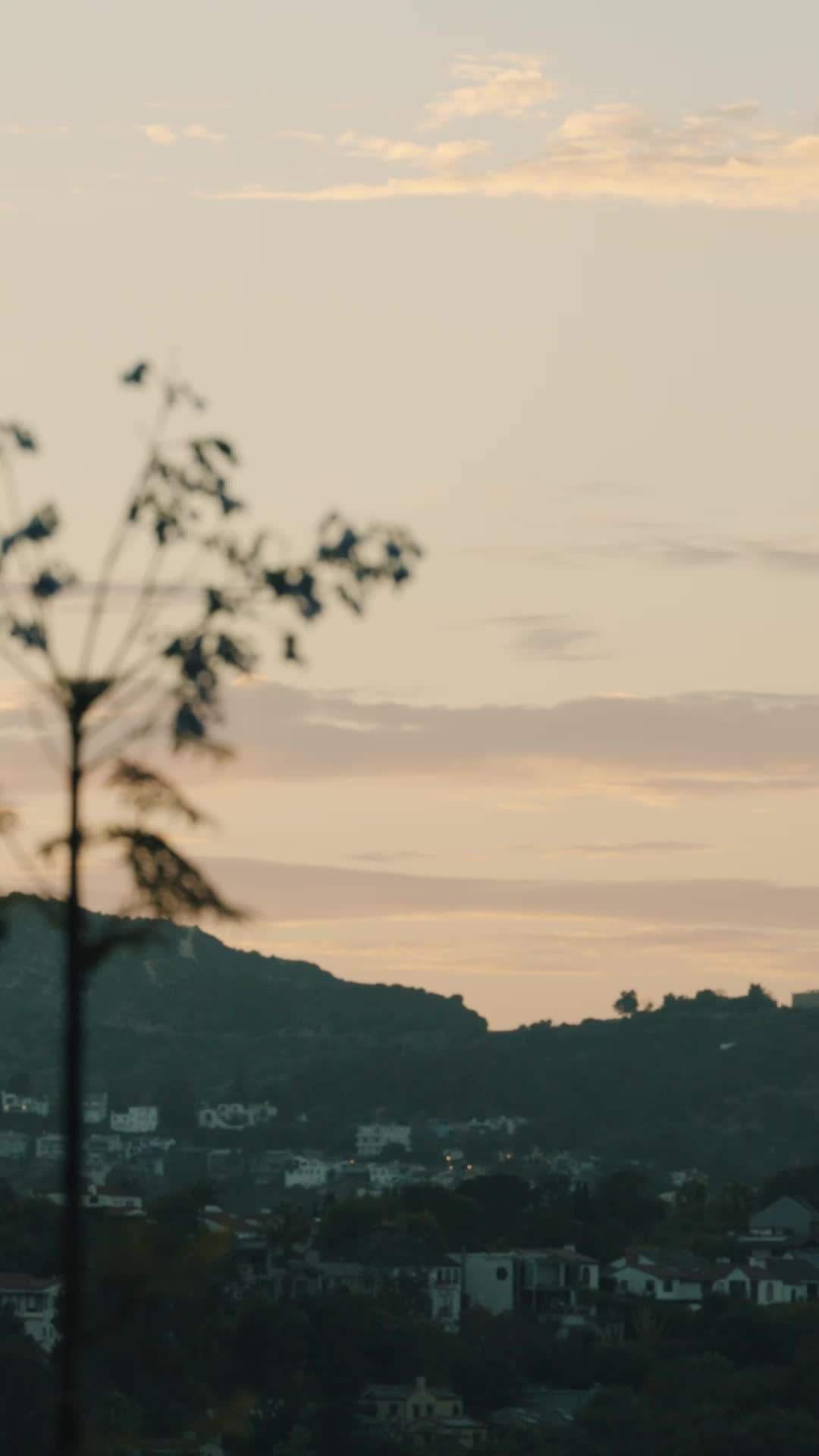 Episódio 57 - Meu chefe da máfia revestido de açúcar