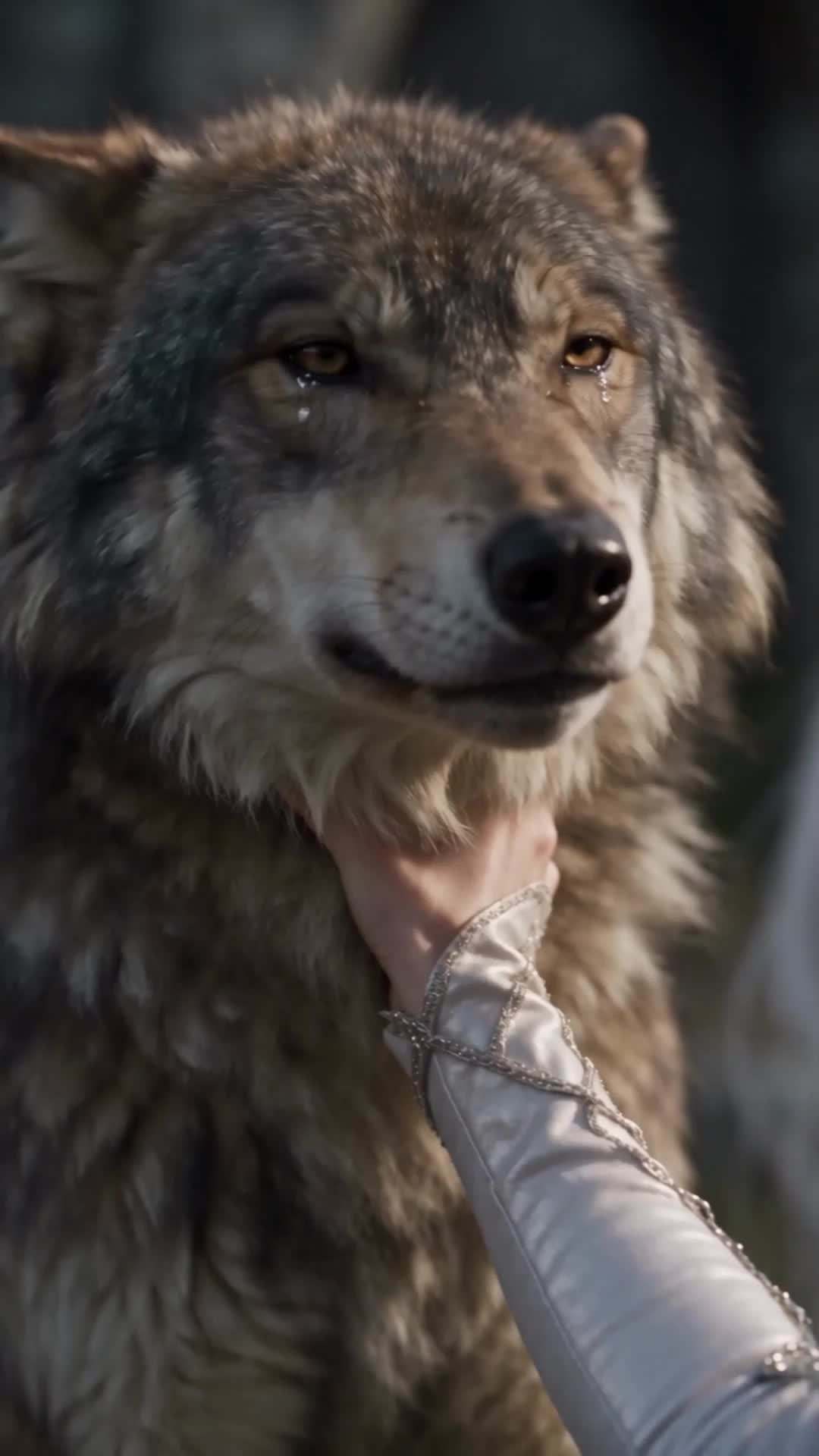 Episodio 39 - Tras volver a casarme, mis hermanos hombres lobo enloquecieron