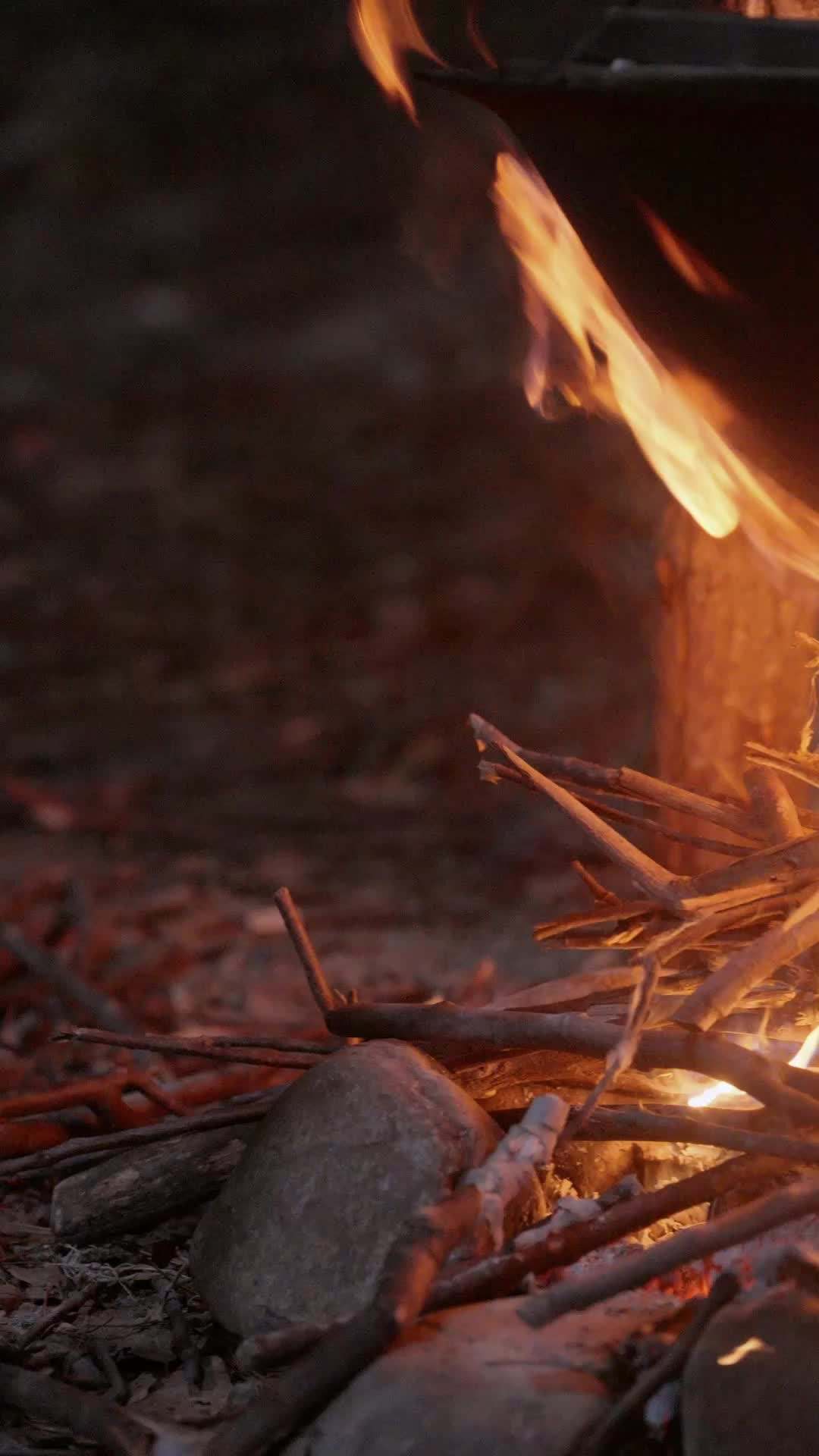 Episode 9 - She Ruled the Wilderness