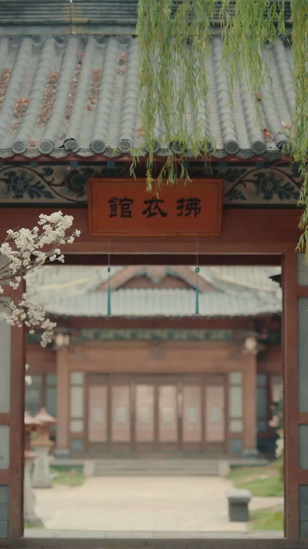 エピソード50 - 遥相思~愛しき神医の隠された素顔~