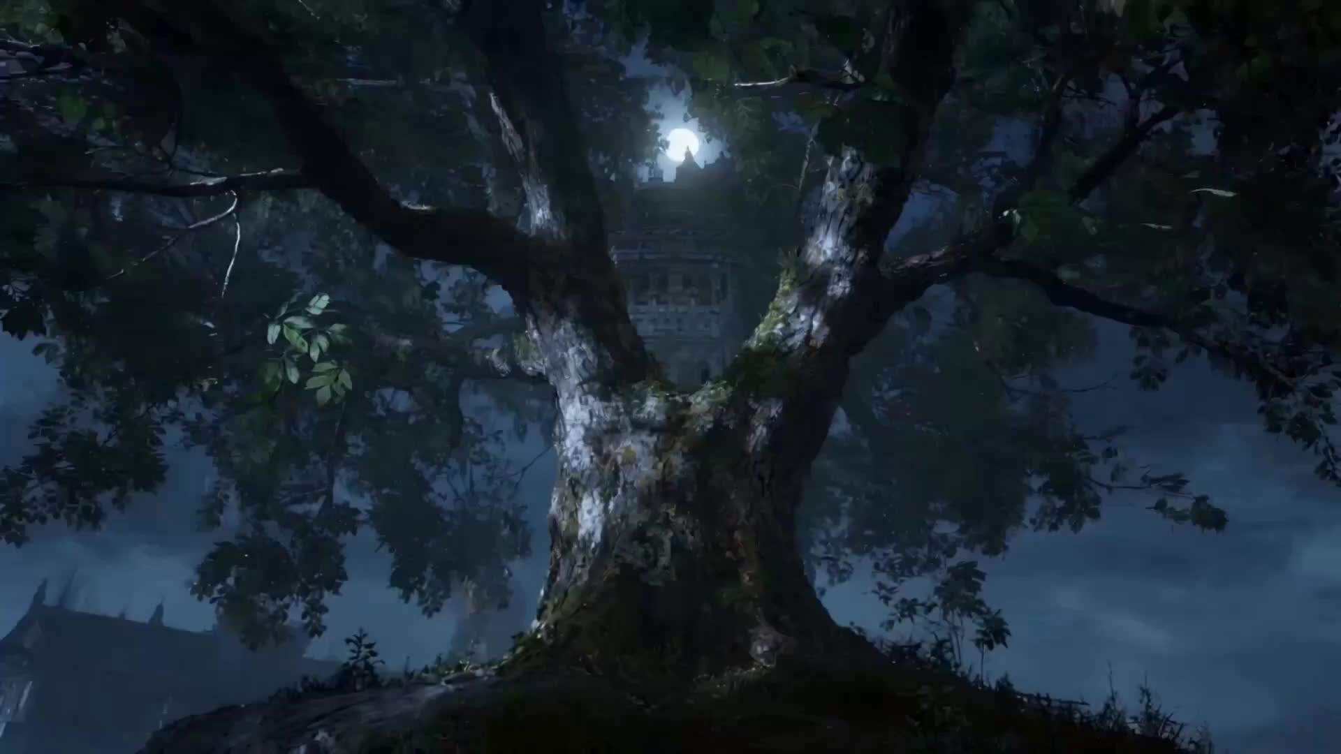 Episode 16 - Reborn Villainess: Healing Hearts, Breaking Walls