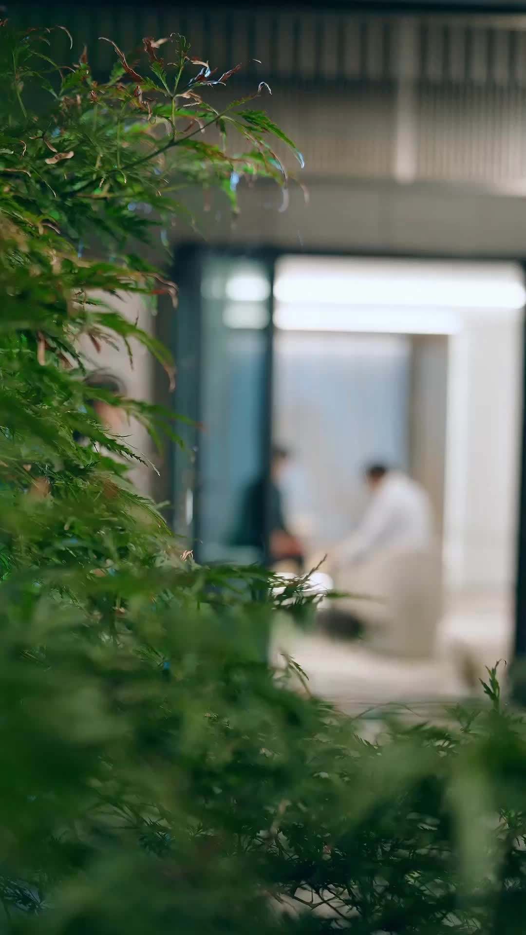 Episode 16 - CEO Ho,Your Bride Awaits