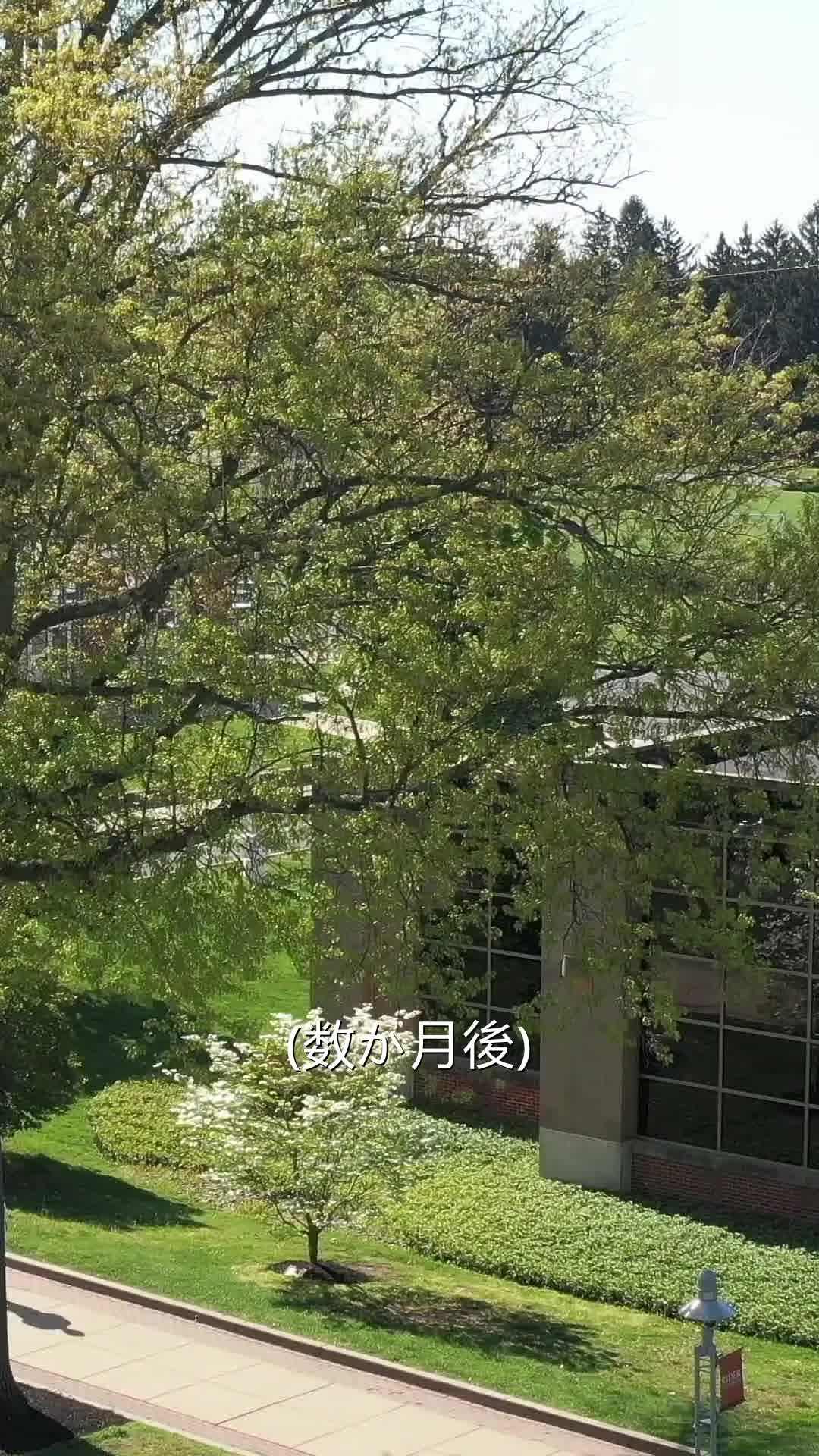 エピソード43 - イケメンプレイボーイ、 突然パパになった!?