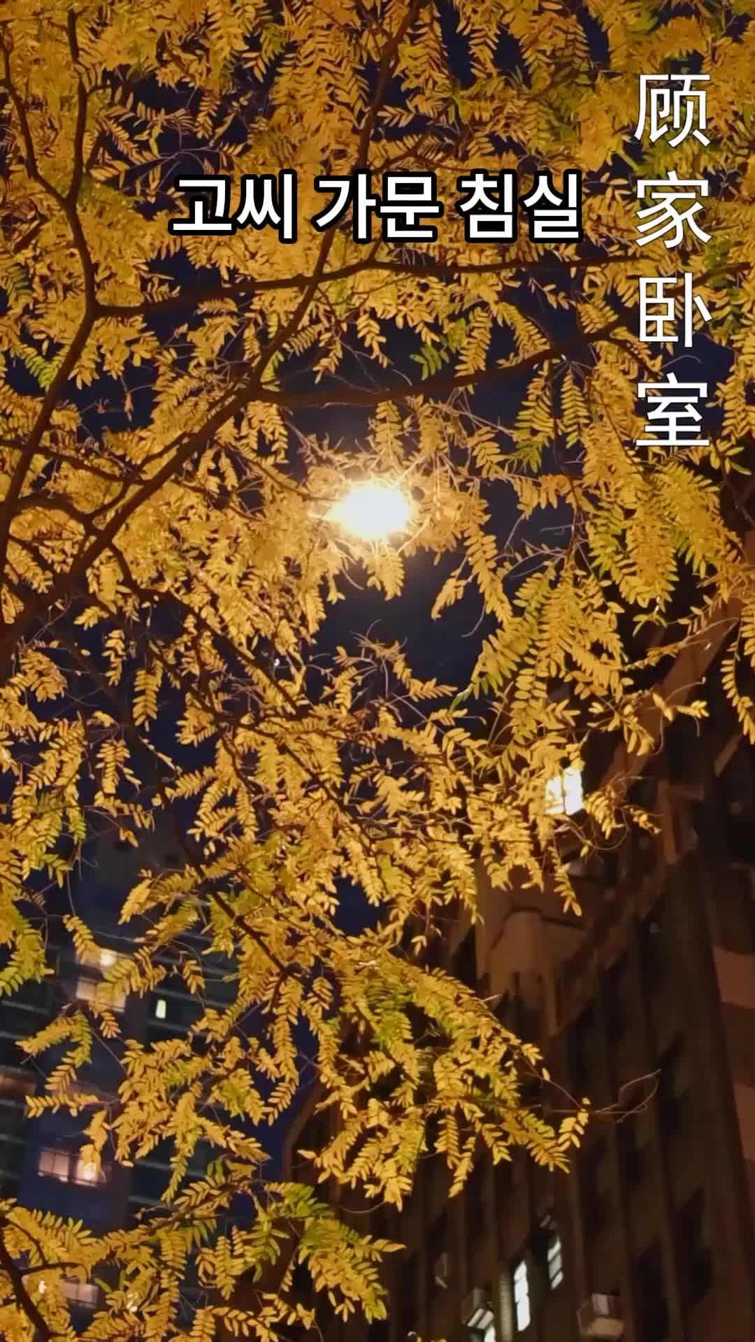 에피소드 44 - 상속녀의 귀환