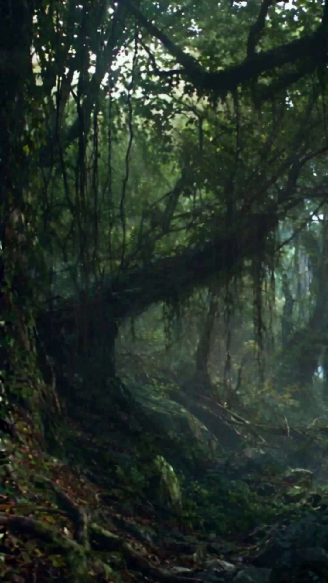 Episode 32 - Velheim Hunter Academy