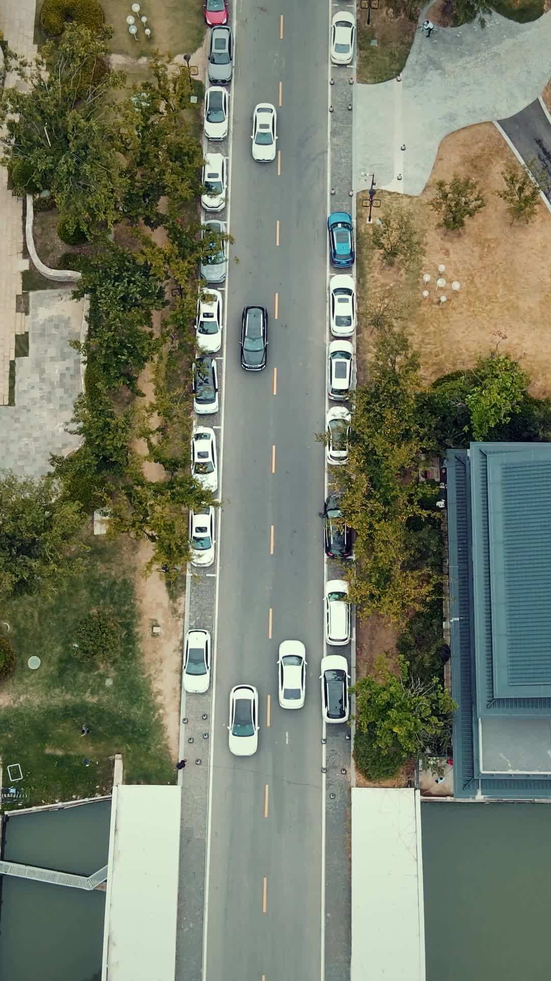 Episode 17 - 24 Hours to Save Her