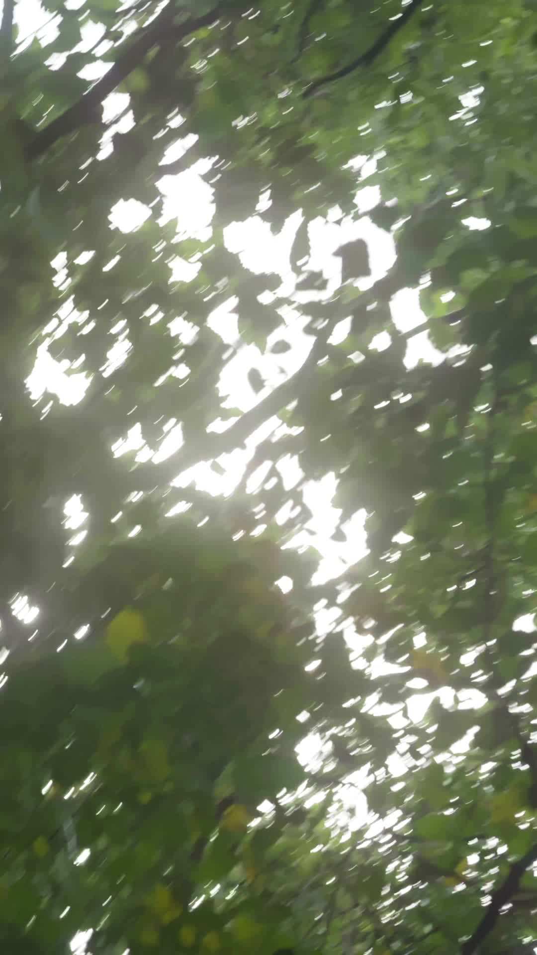 에피소드 39 - 어느날 형이 생겼다
