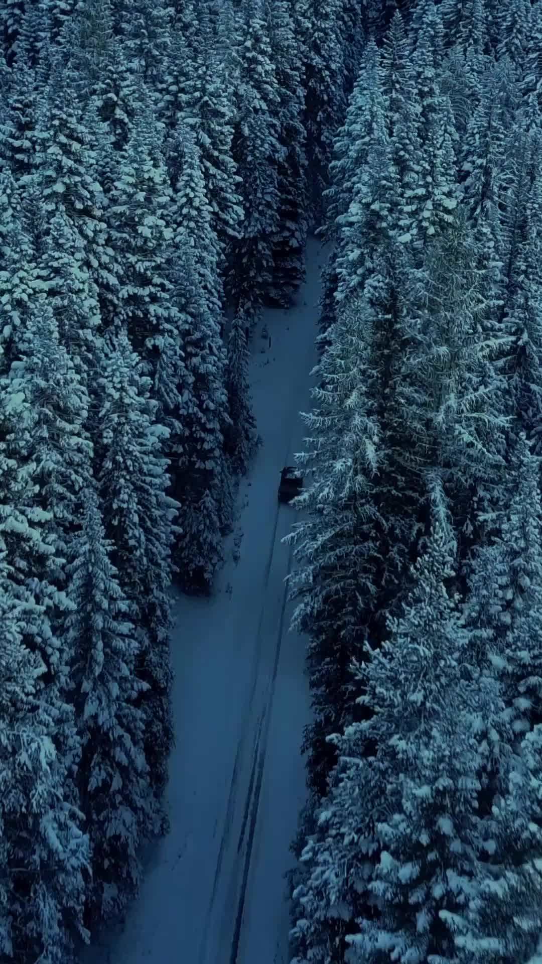 Episode 1 - The Winter Veil