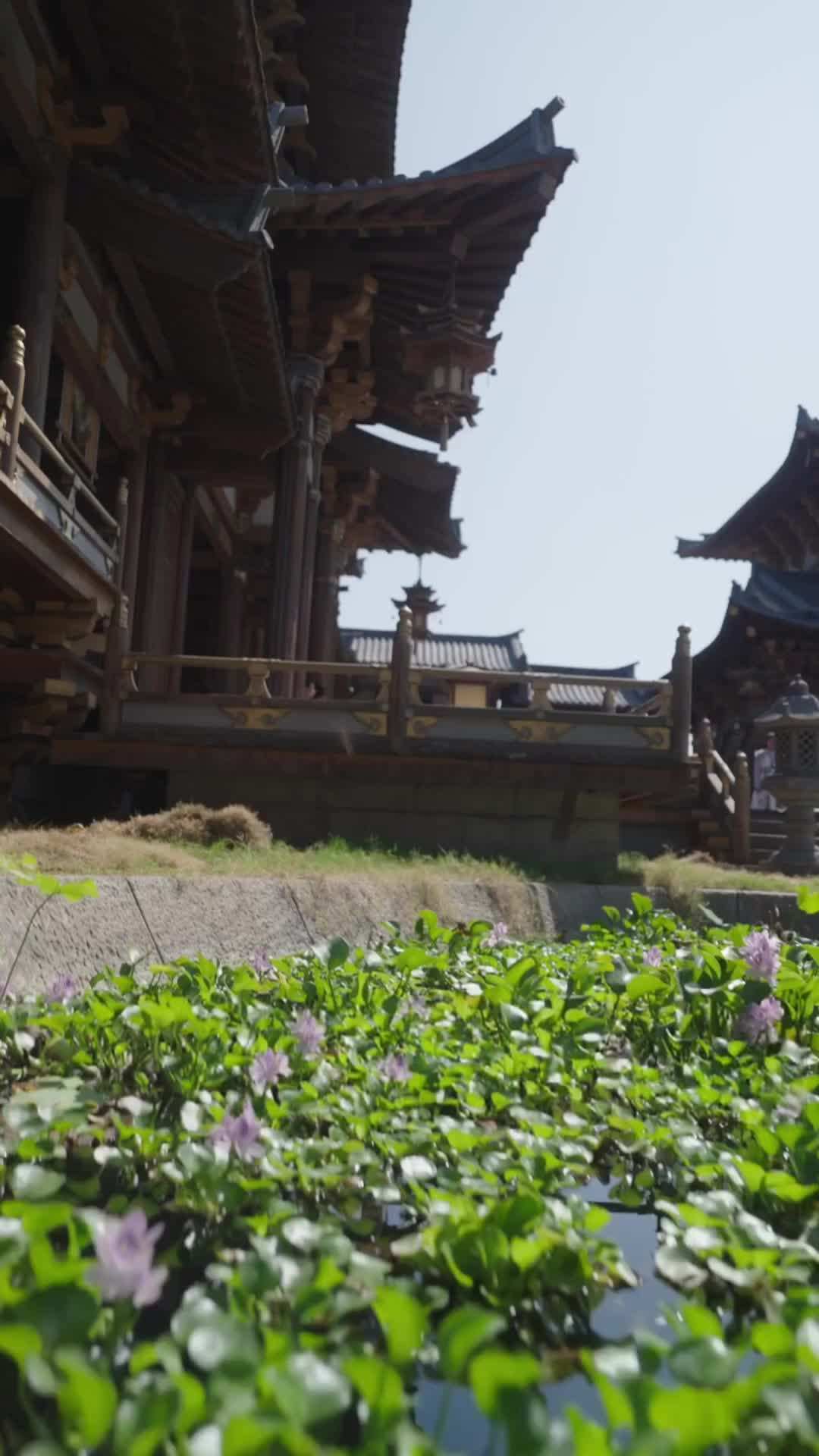Episode 45 - Eternal Dragon Emperor
