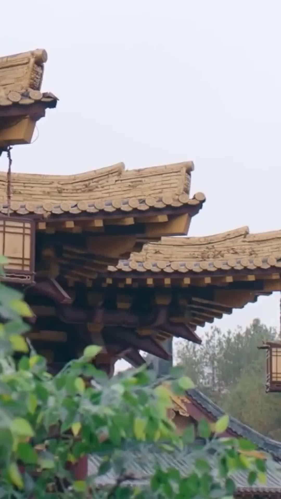 Episode 33 - Hubby, Let’s See Who Rules This House