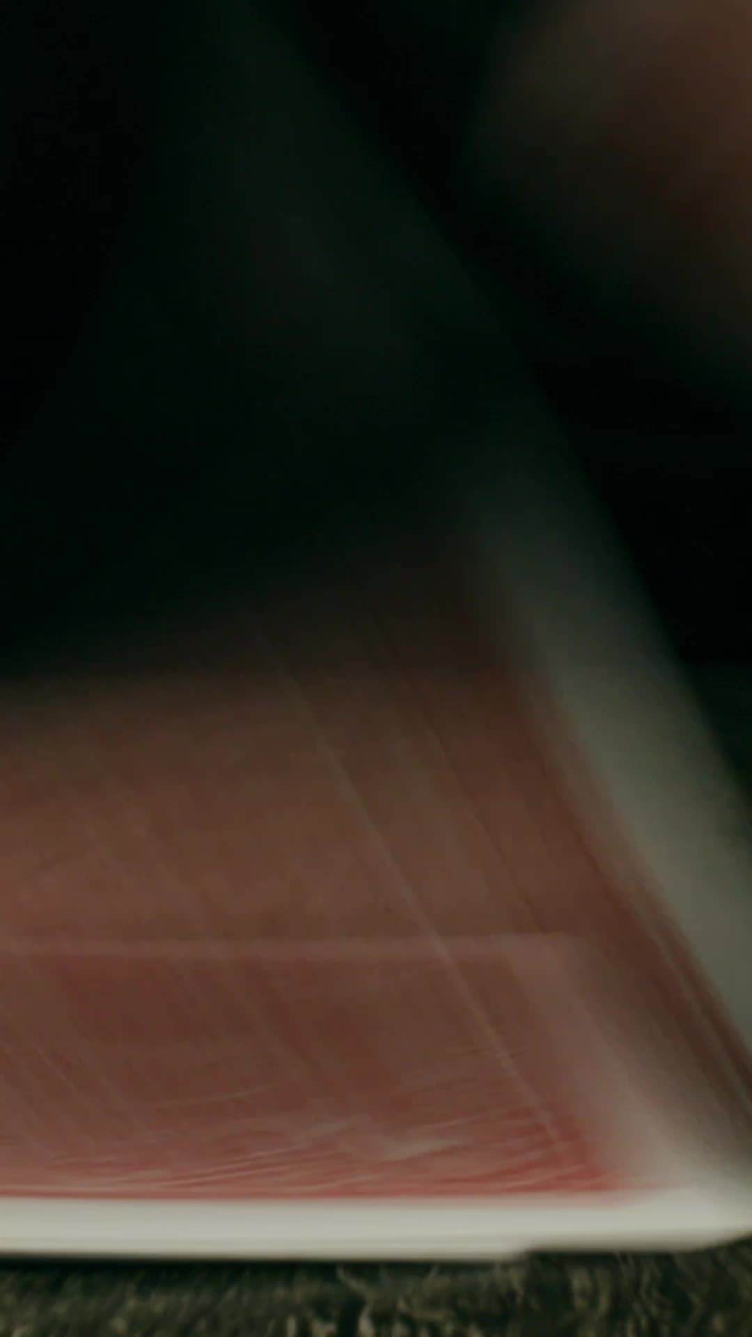 Episódio 60 - Lady Boss Contra Valentões de Vegas