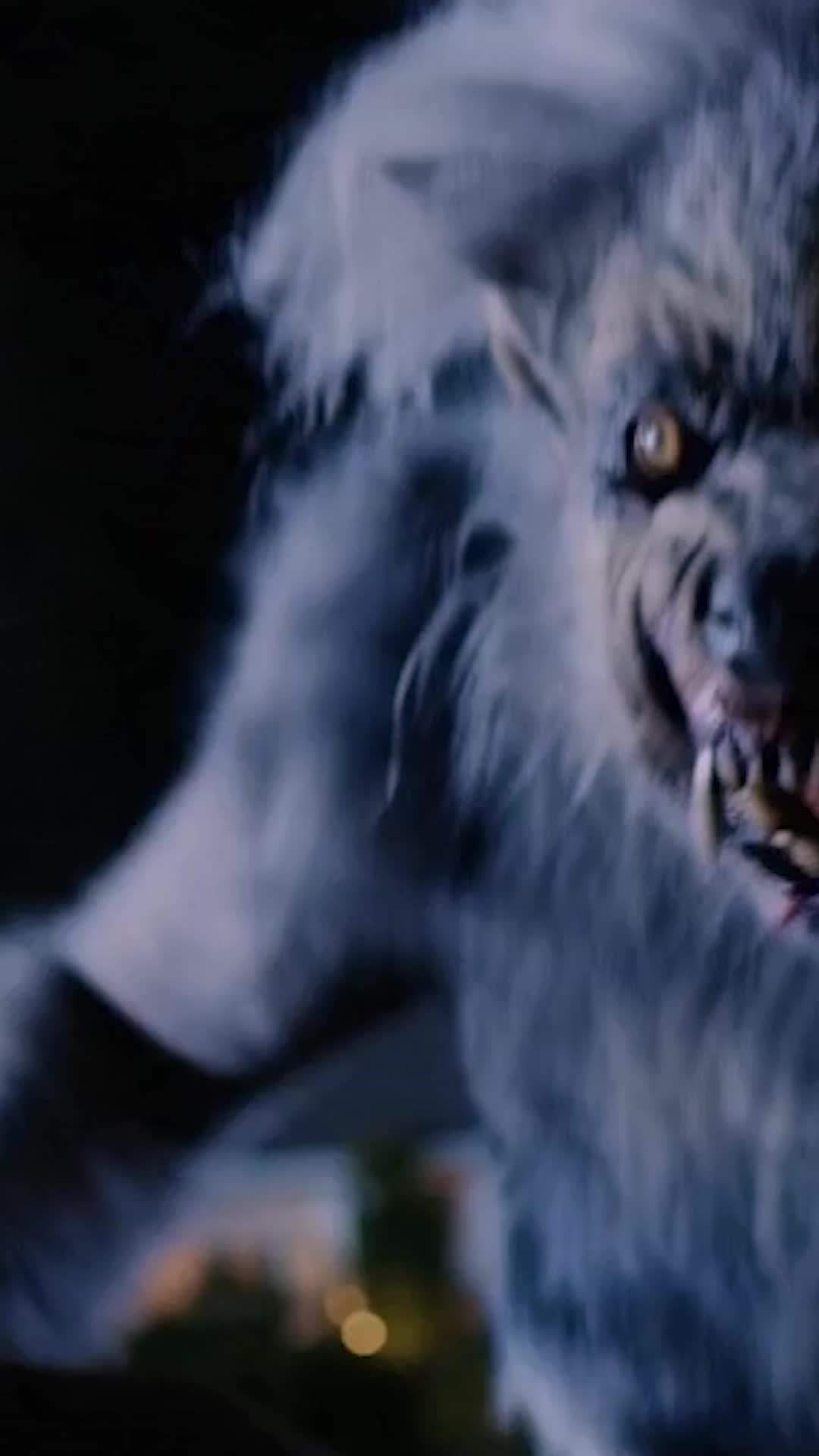 Episode 43 - Models vs. Werewolves